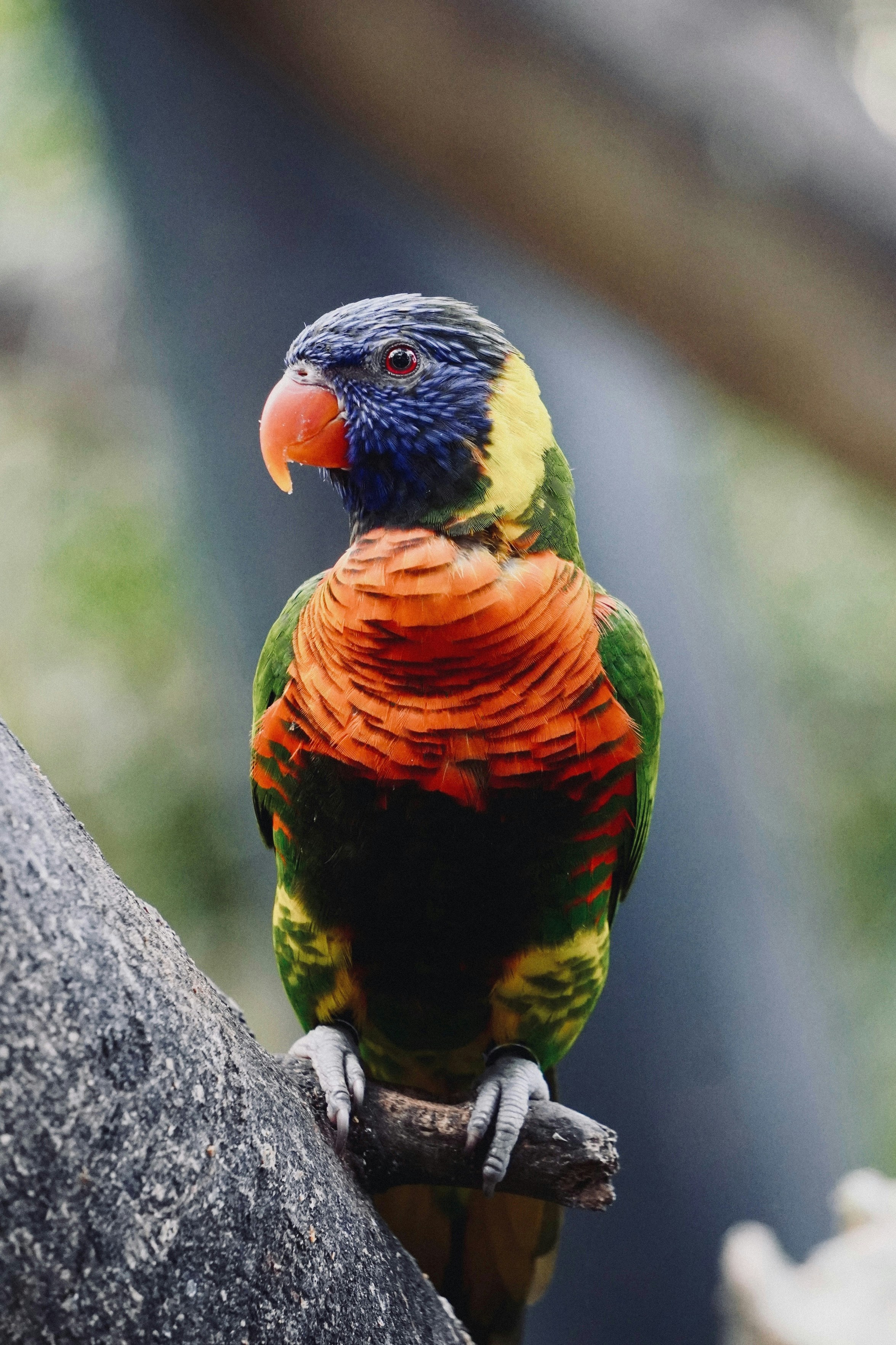 Photo by franziskawe01