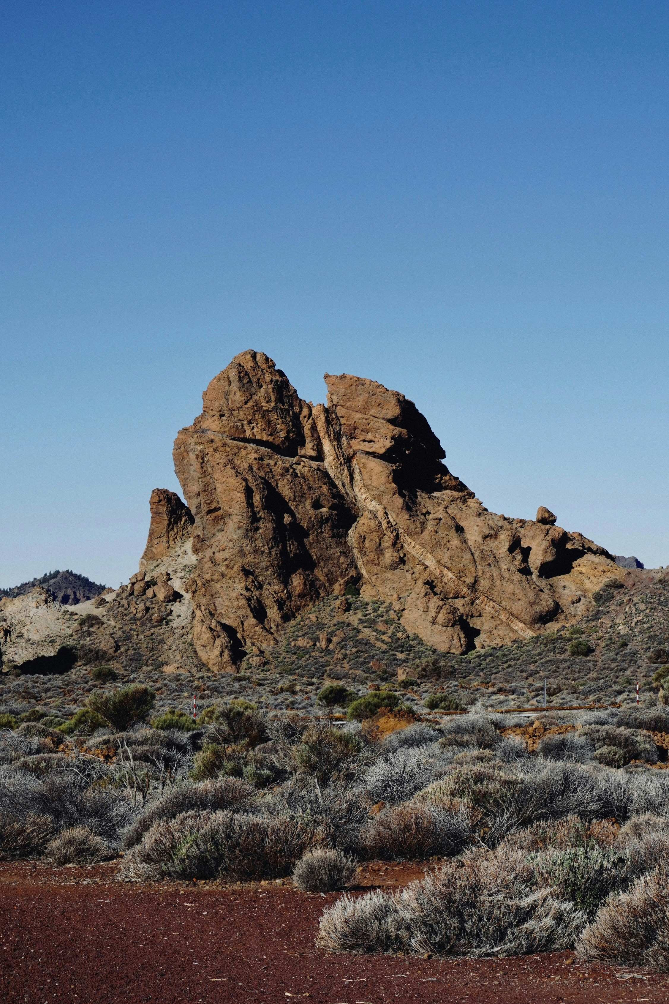 Photo by franziskawe01