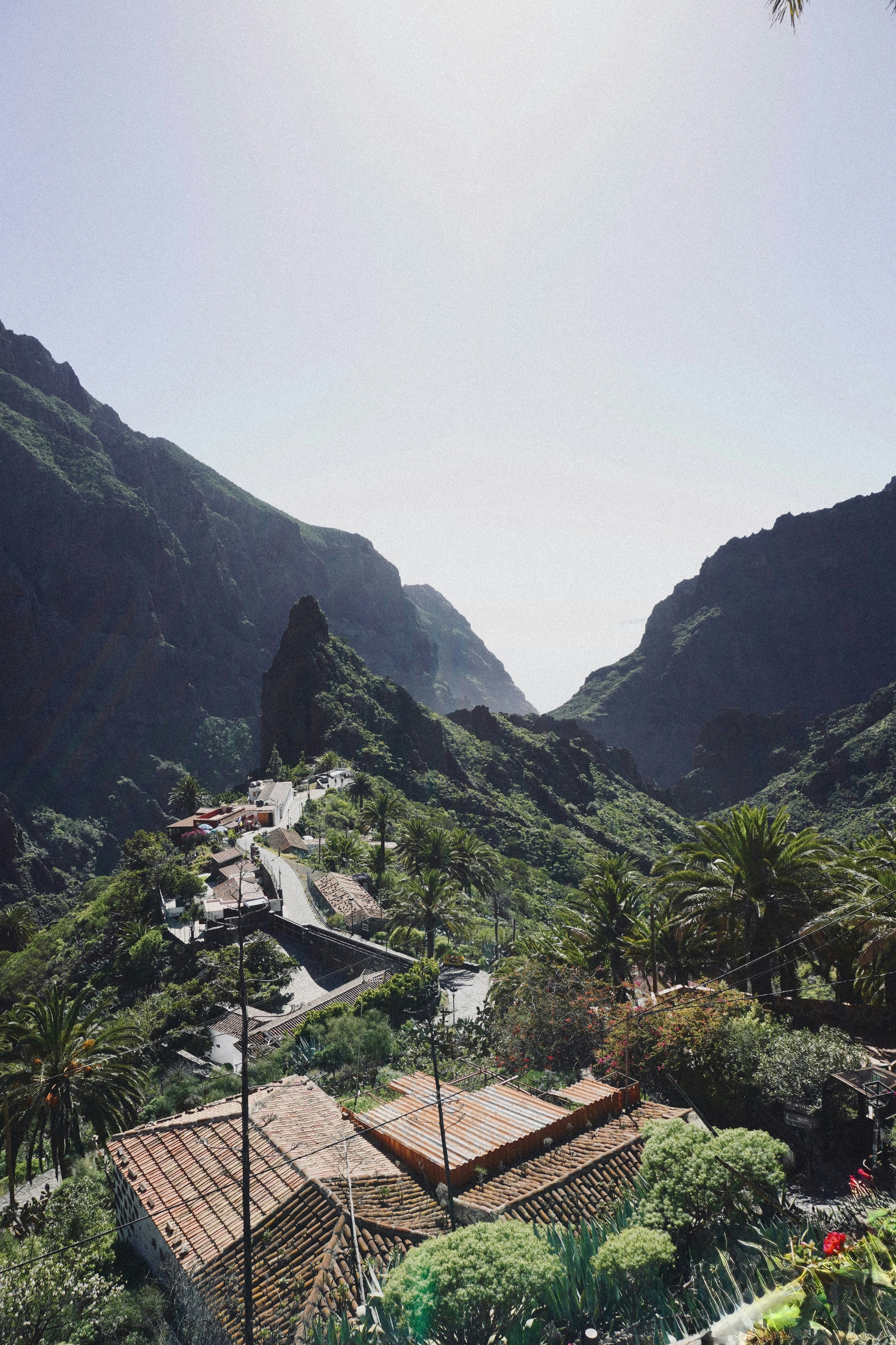 Photo by franziskawe01