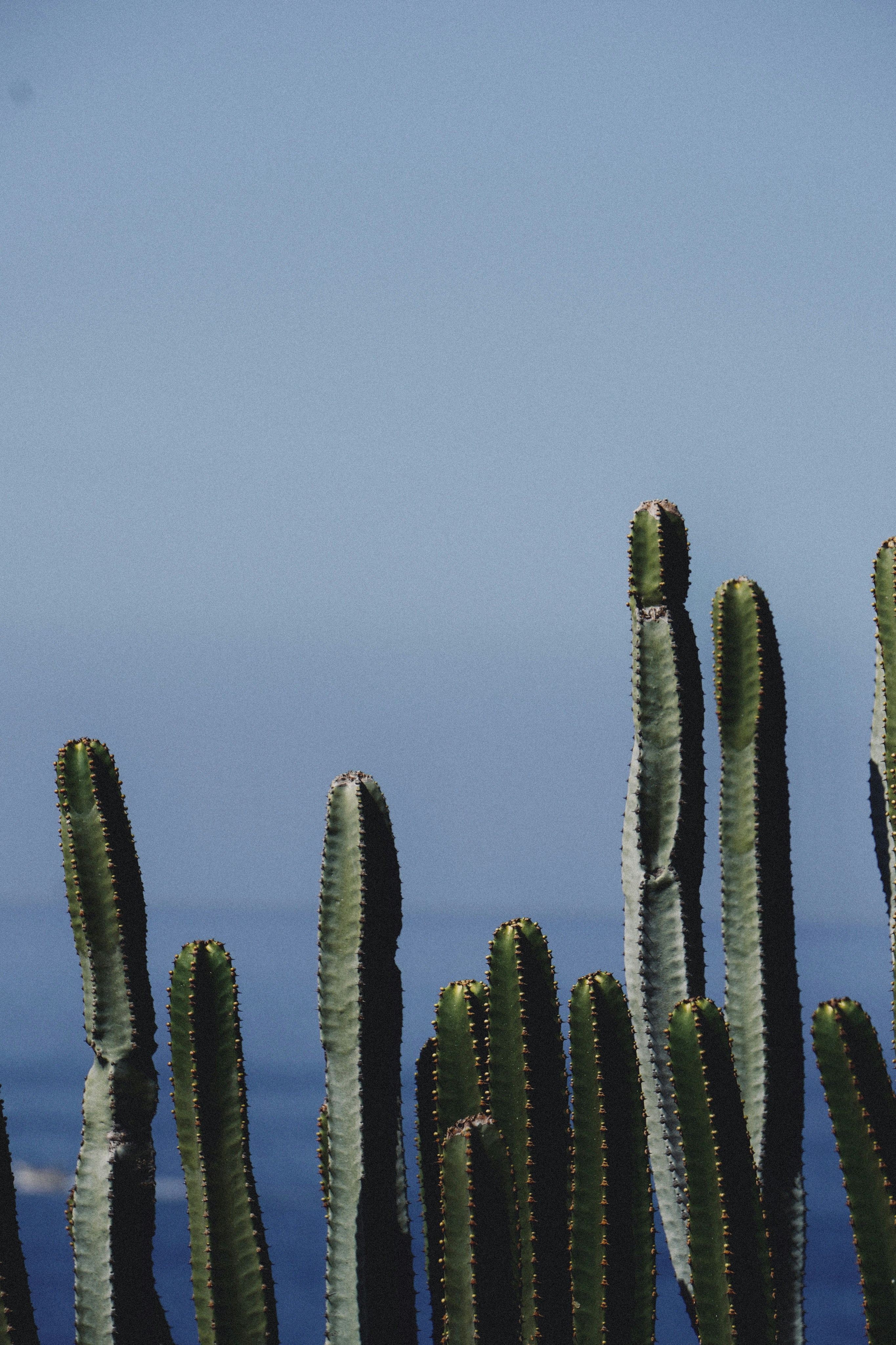 Photo by franziskawe01