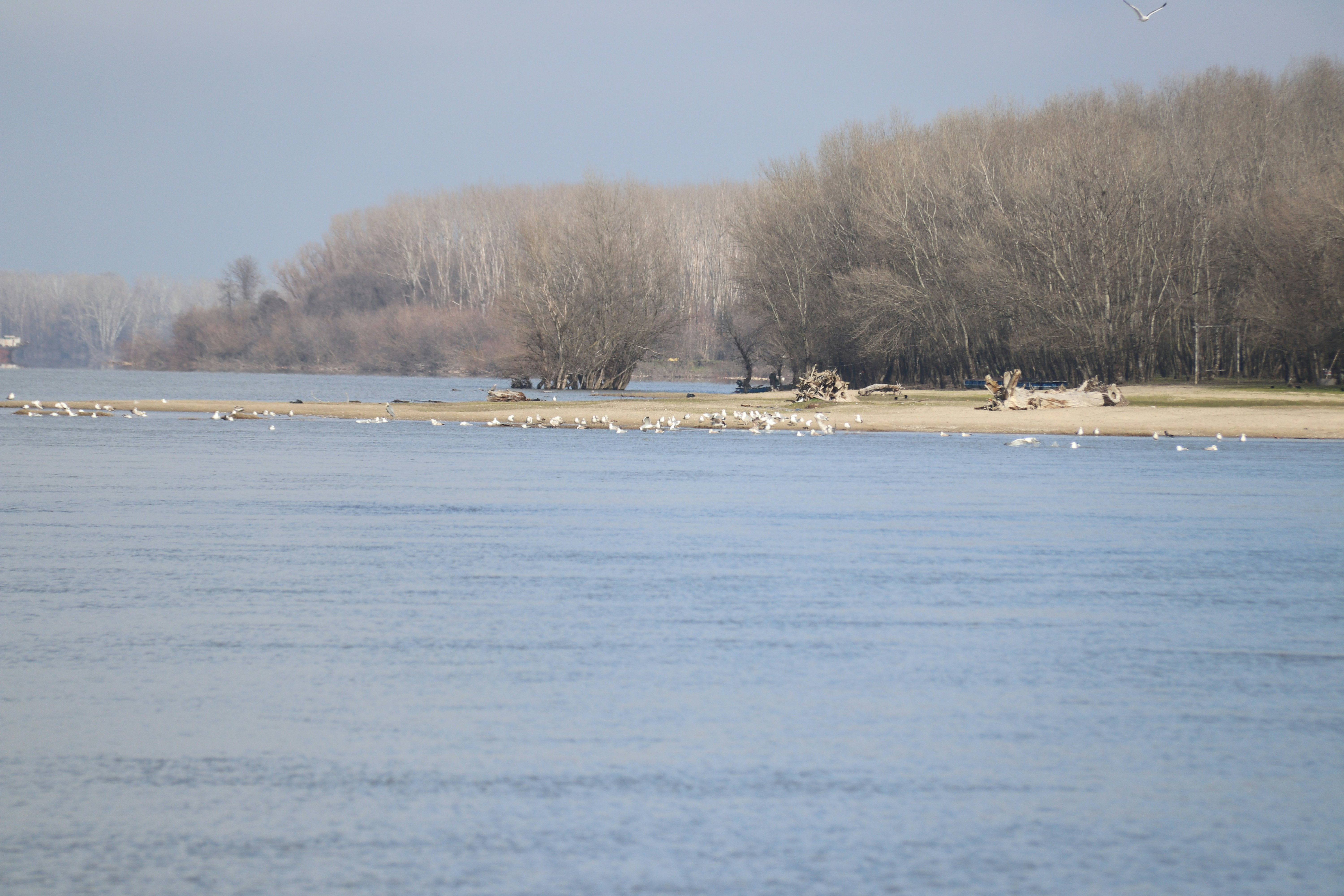 Photo by fotografialuivlad