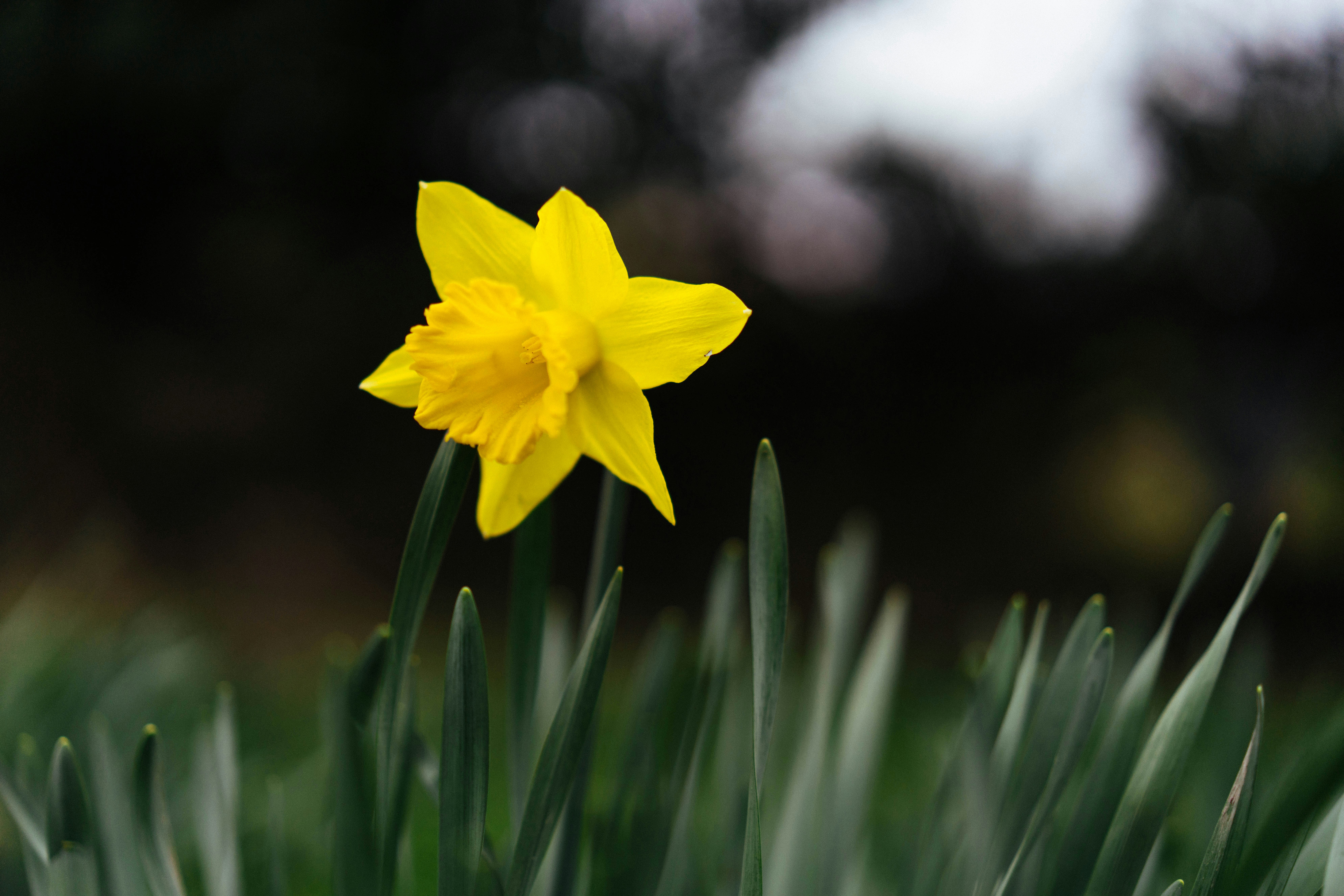 Photo by philhearing