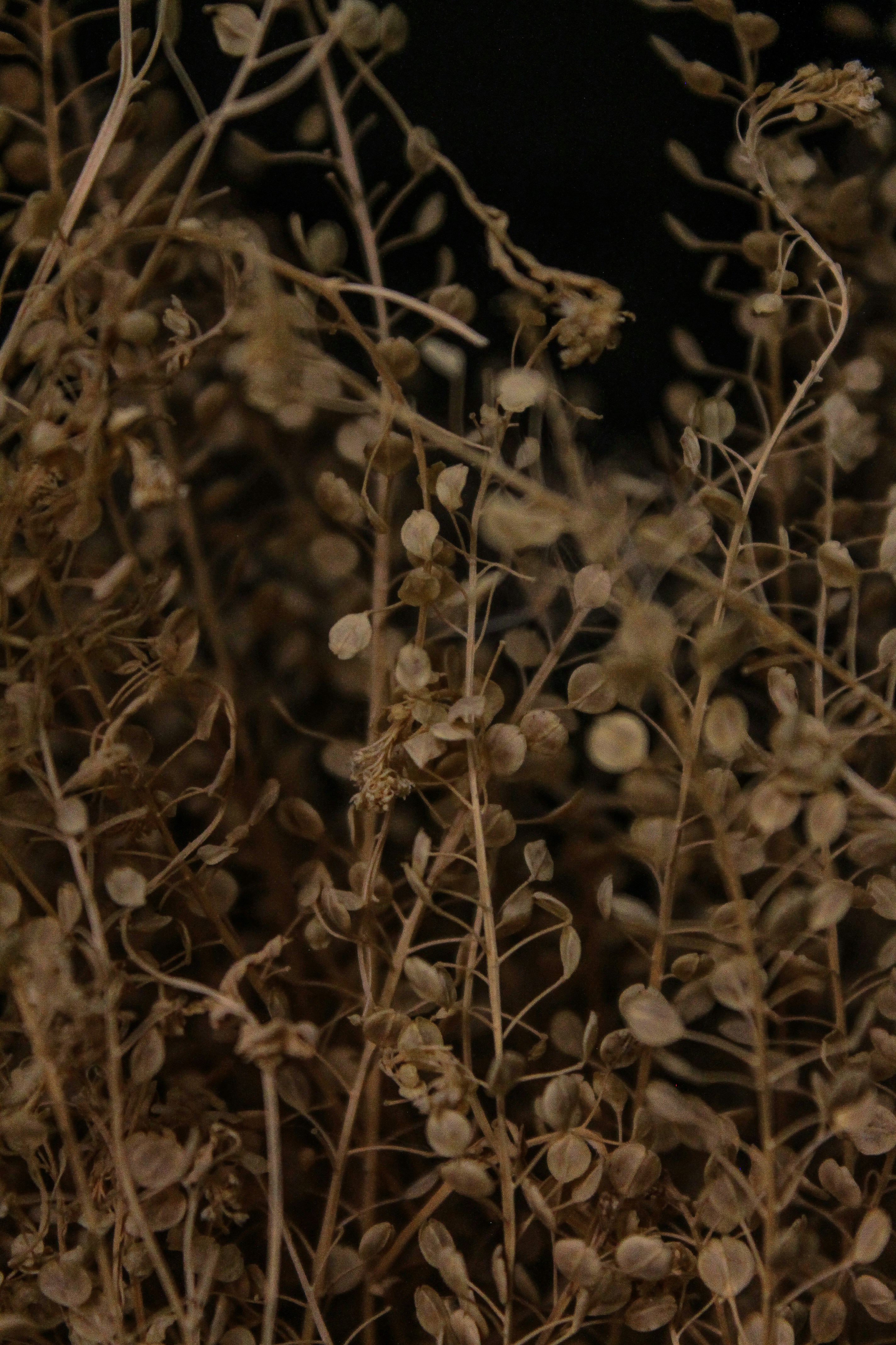 Photo by vvehkalahti