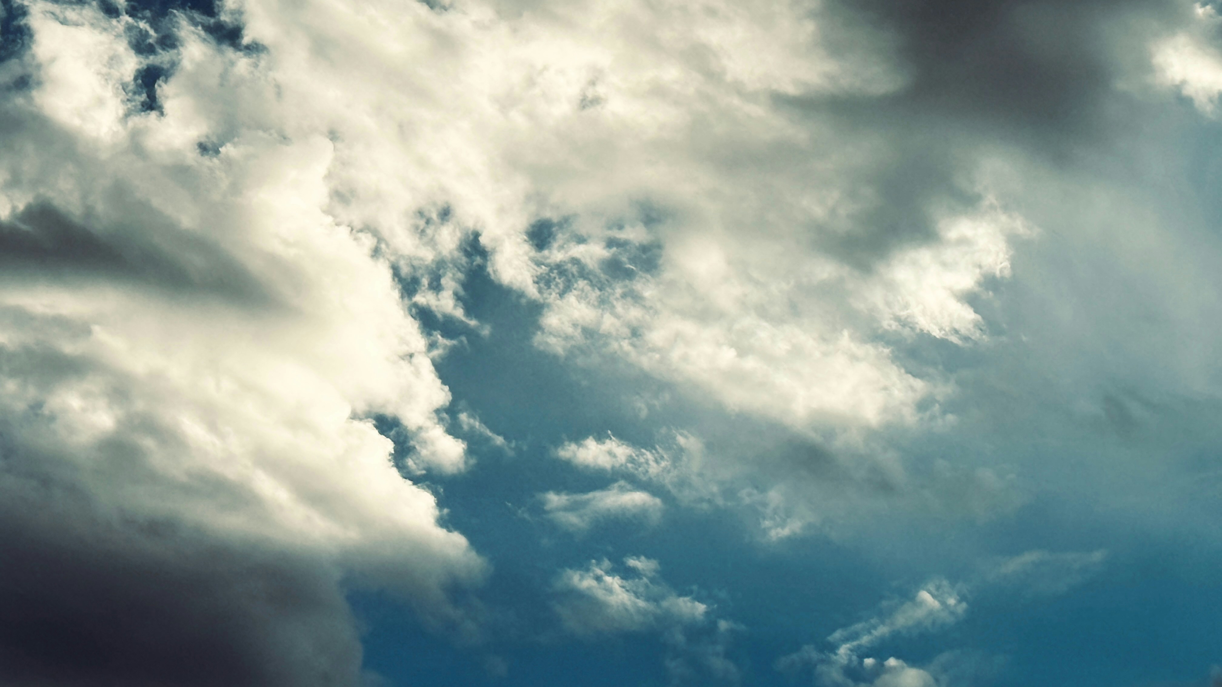 Photo by giorgiotrovato