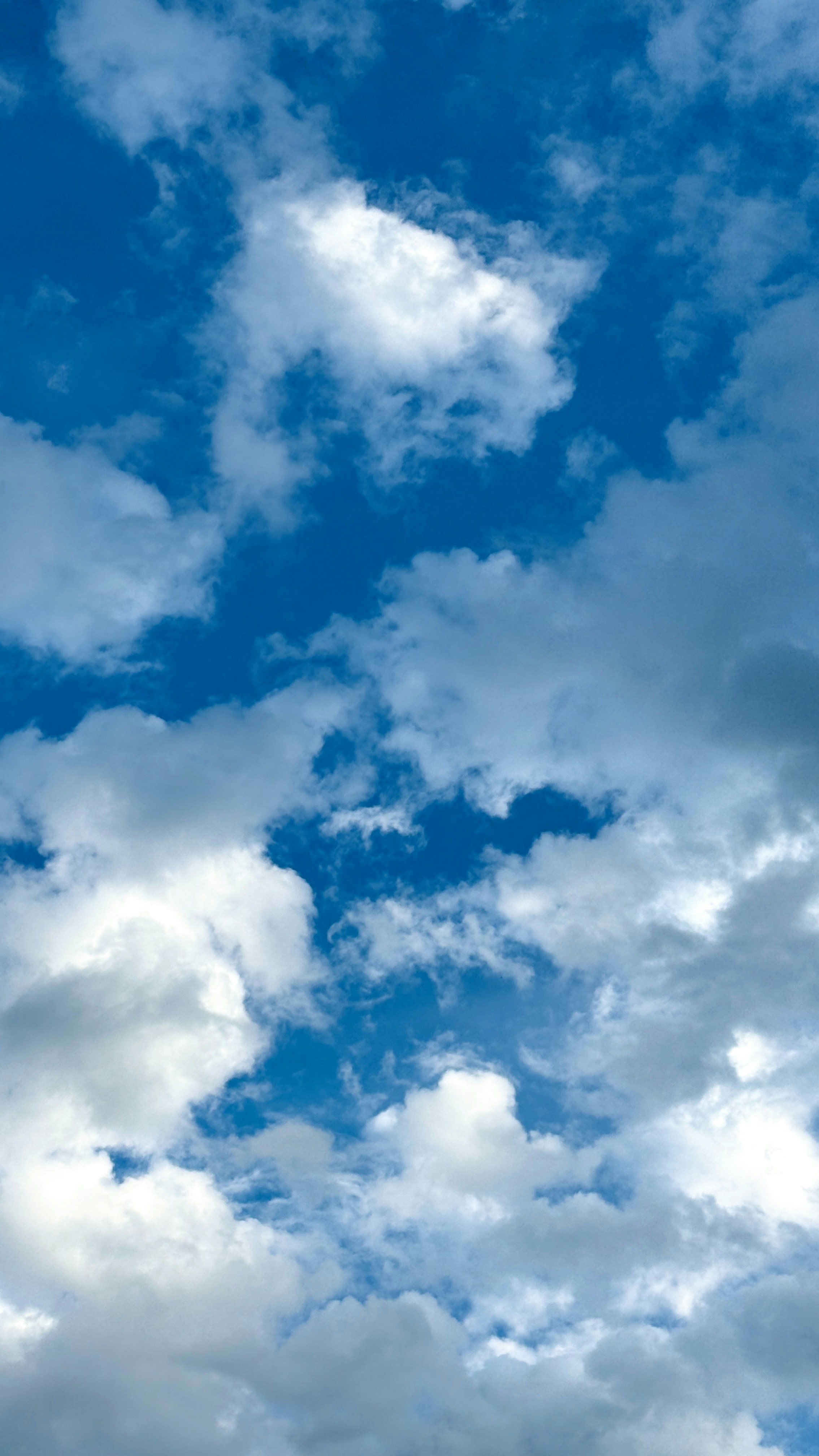 Photo by giorgiotrovato