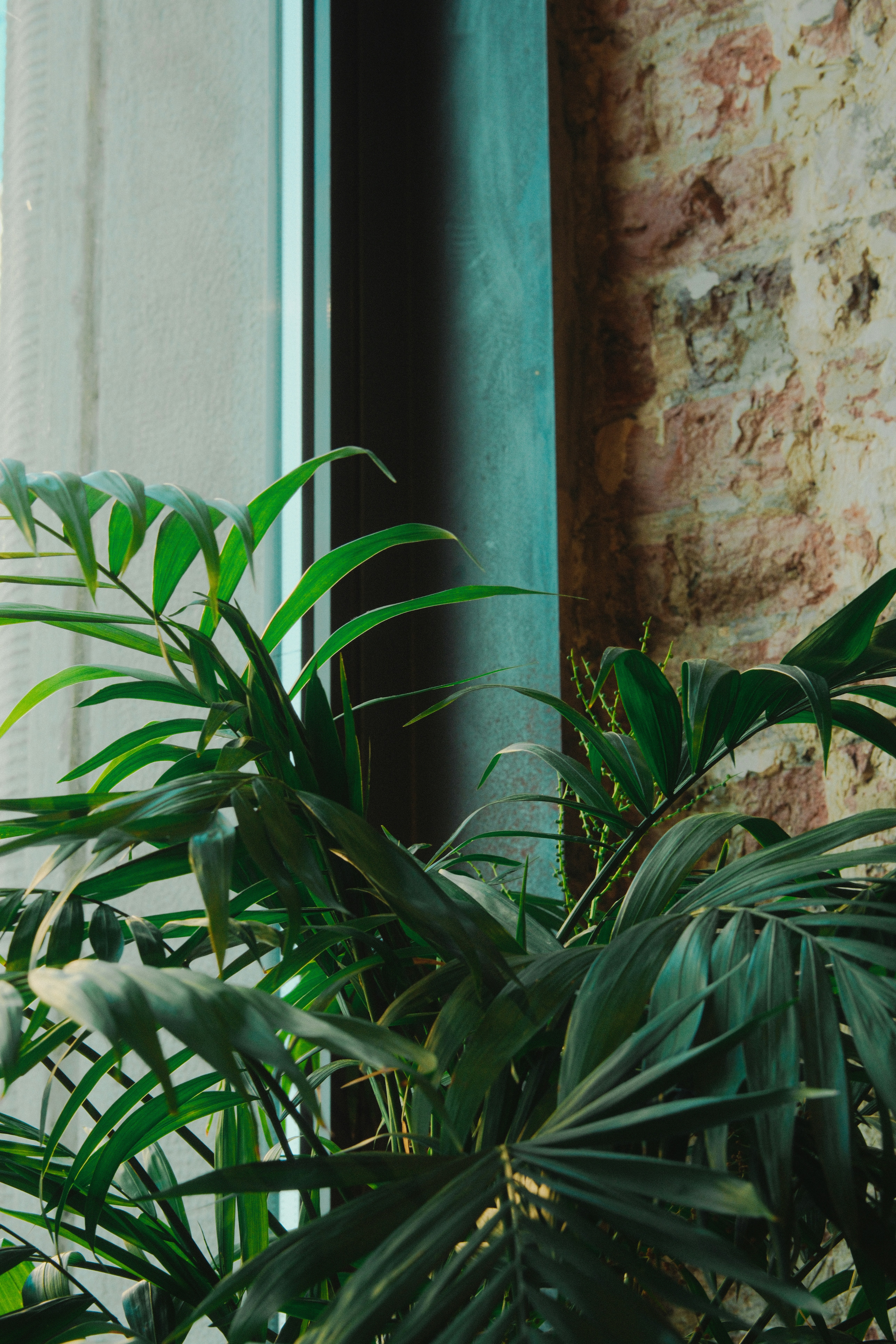 Photo by kolesnykyan