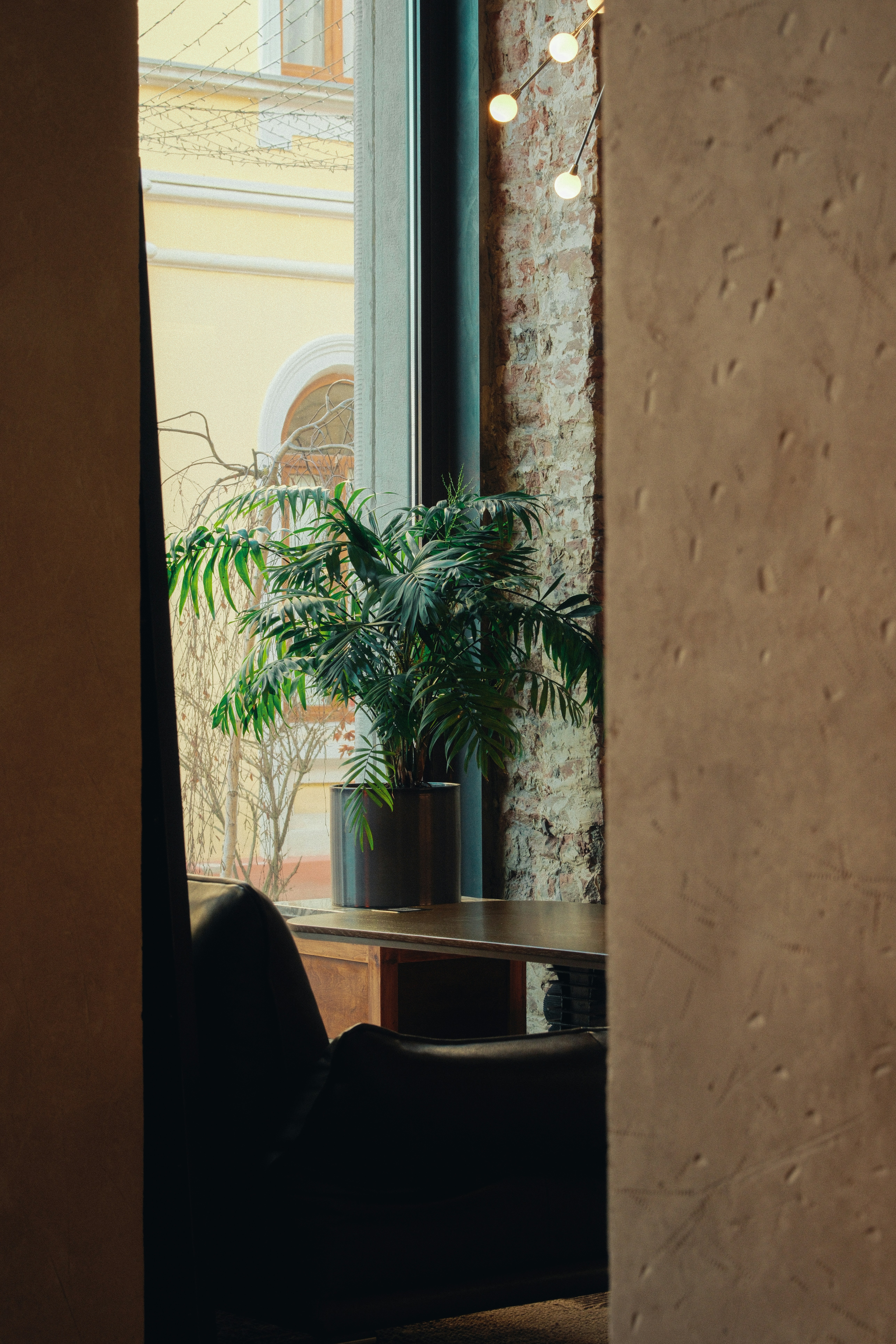 Photo by kolesnykyan