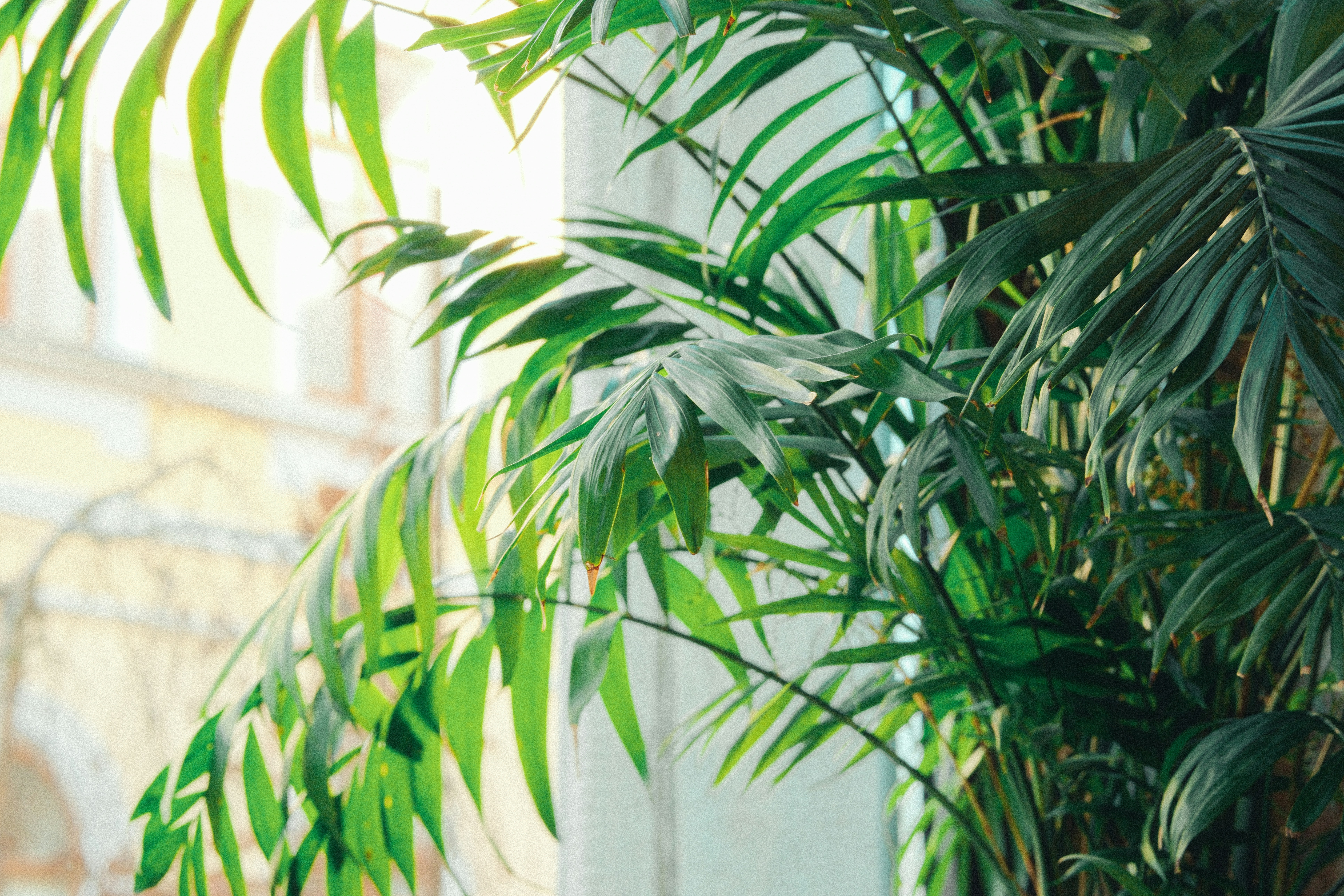 Photo by kolesnykyan