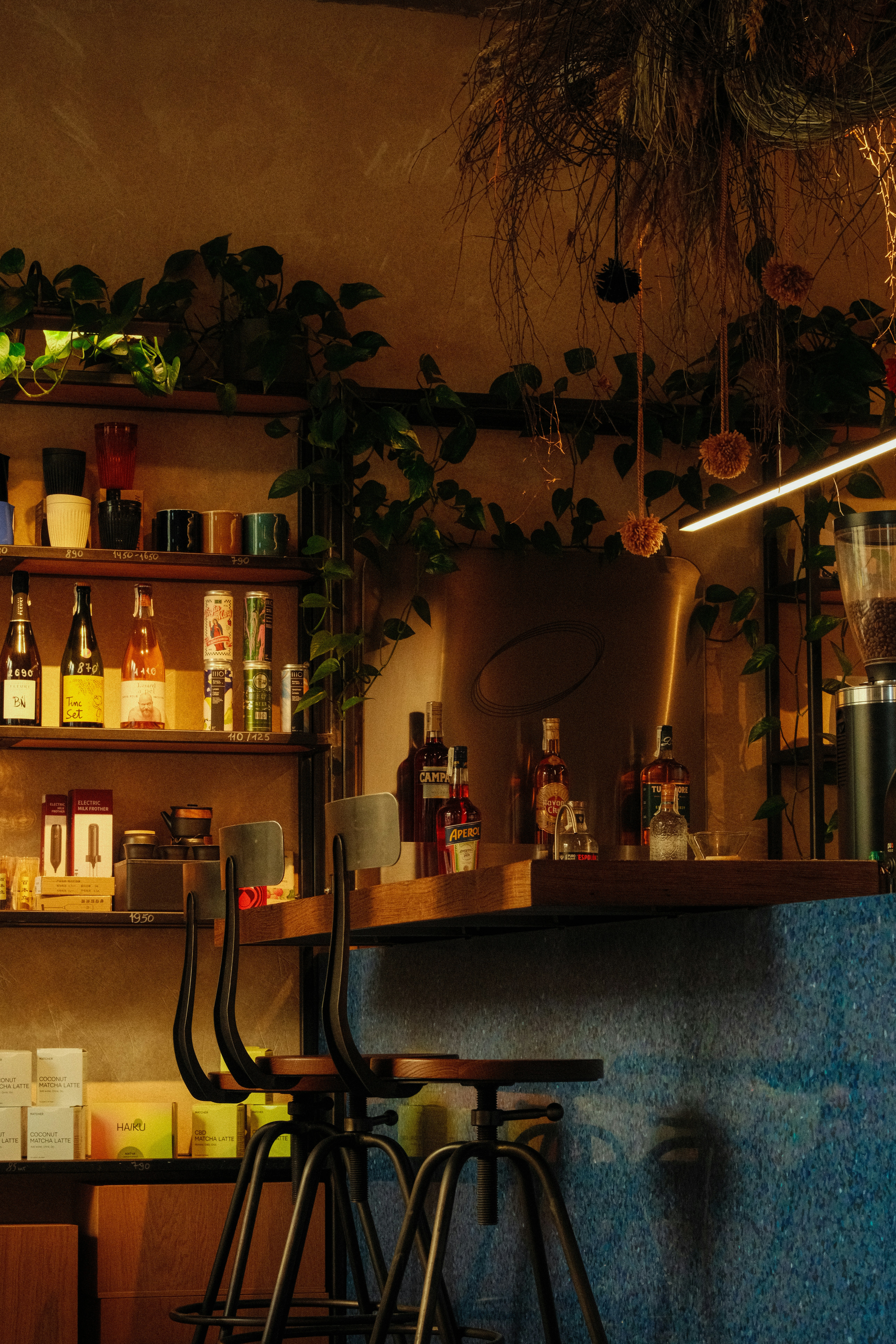 Photo by kolesnykyan