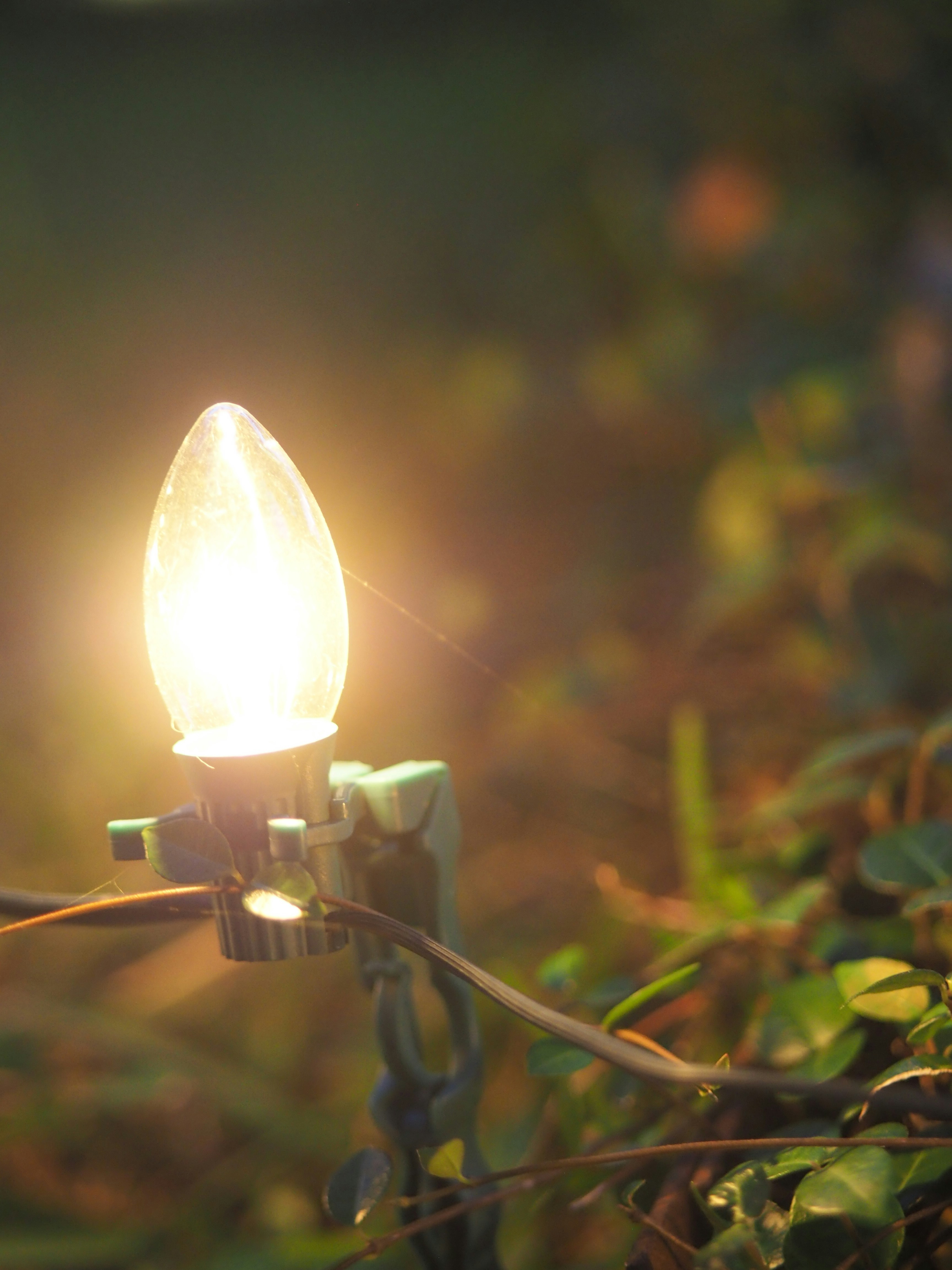 A single glowing light bulb on a string.