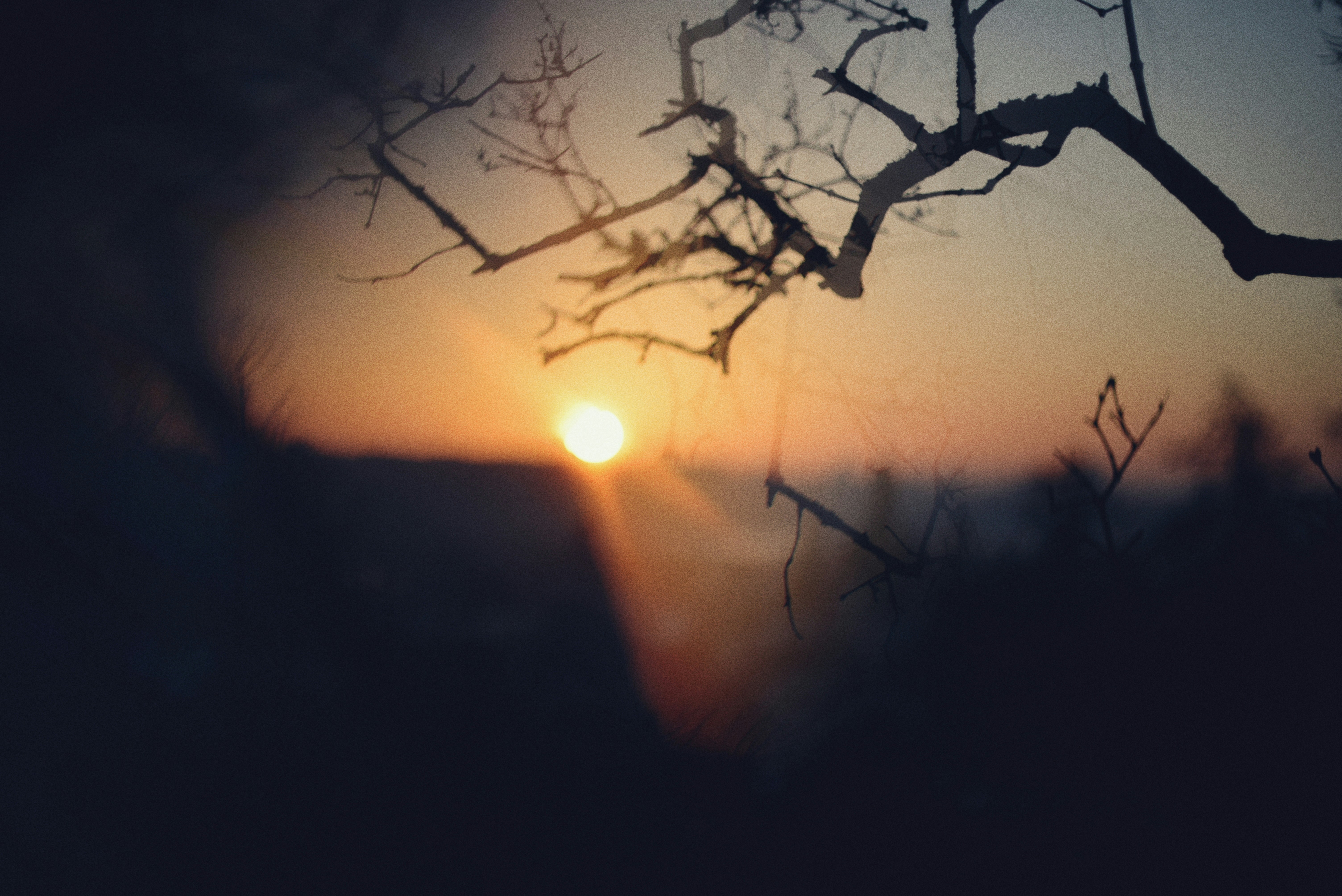 Photo by cherstve_pechivo