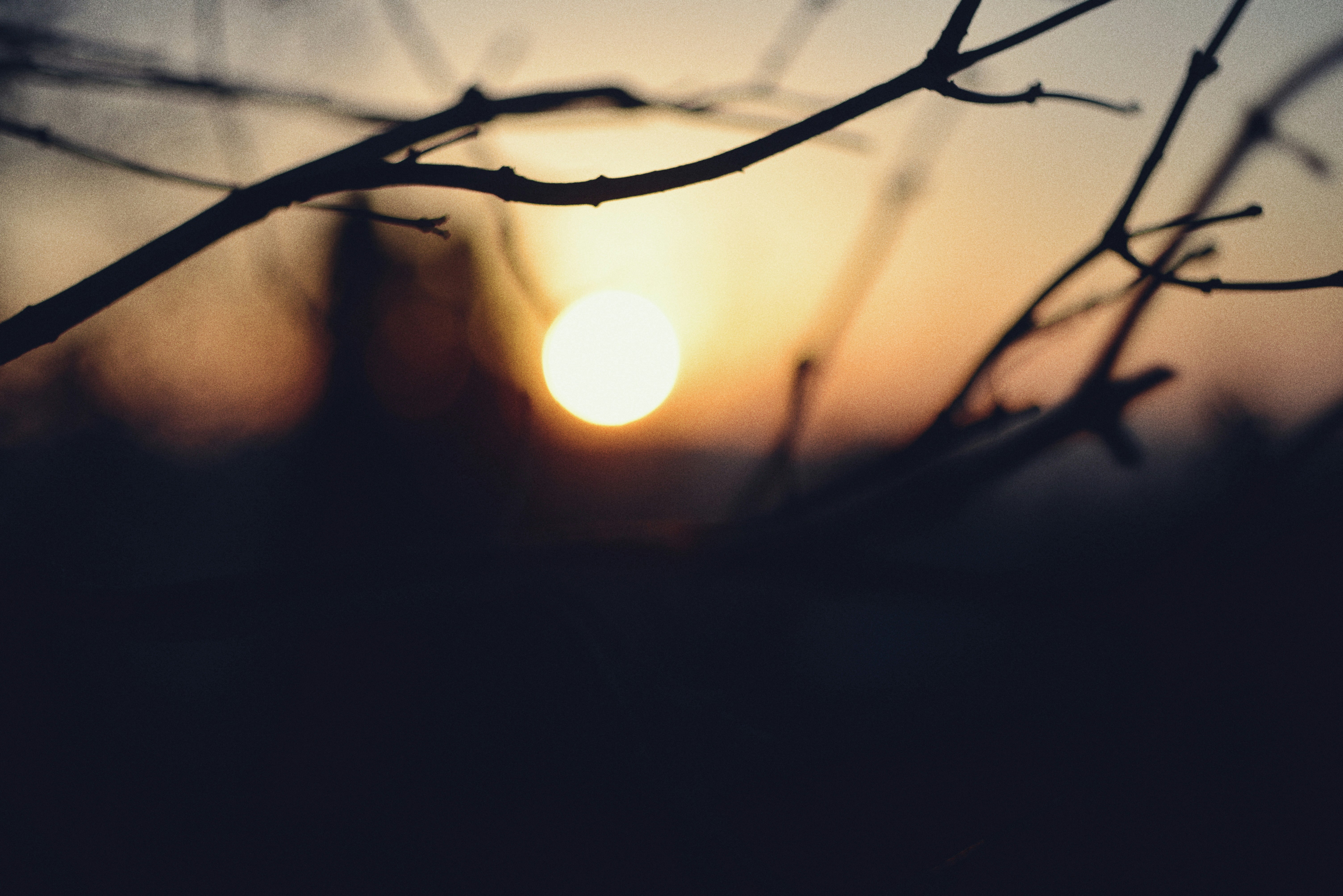 Photo by cherstve_pechivo