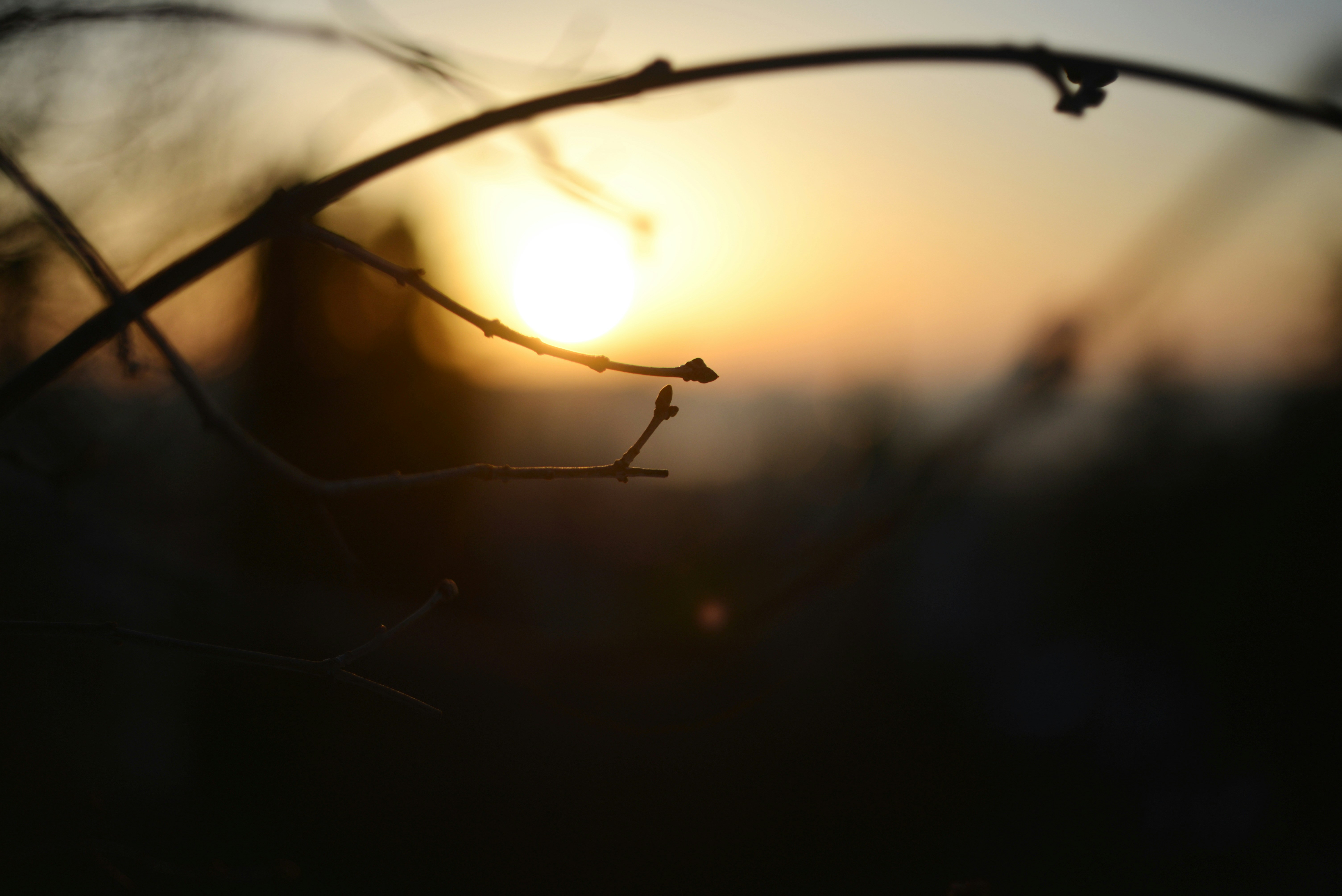 Photo by cherstve_pechivo