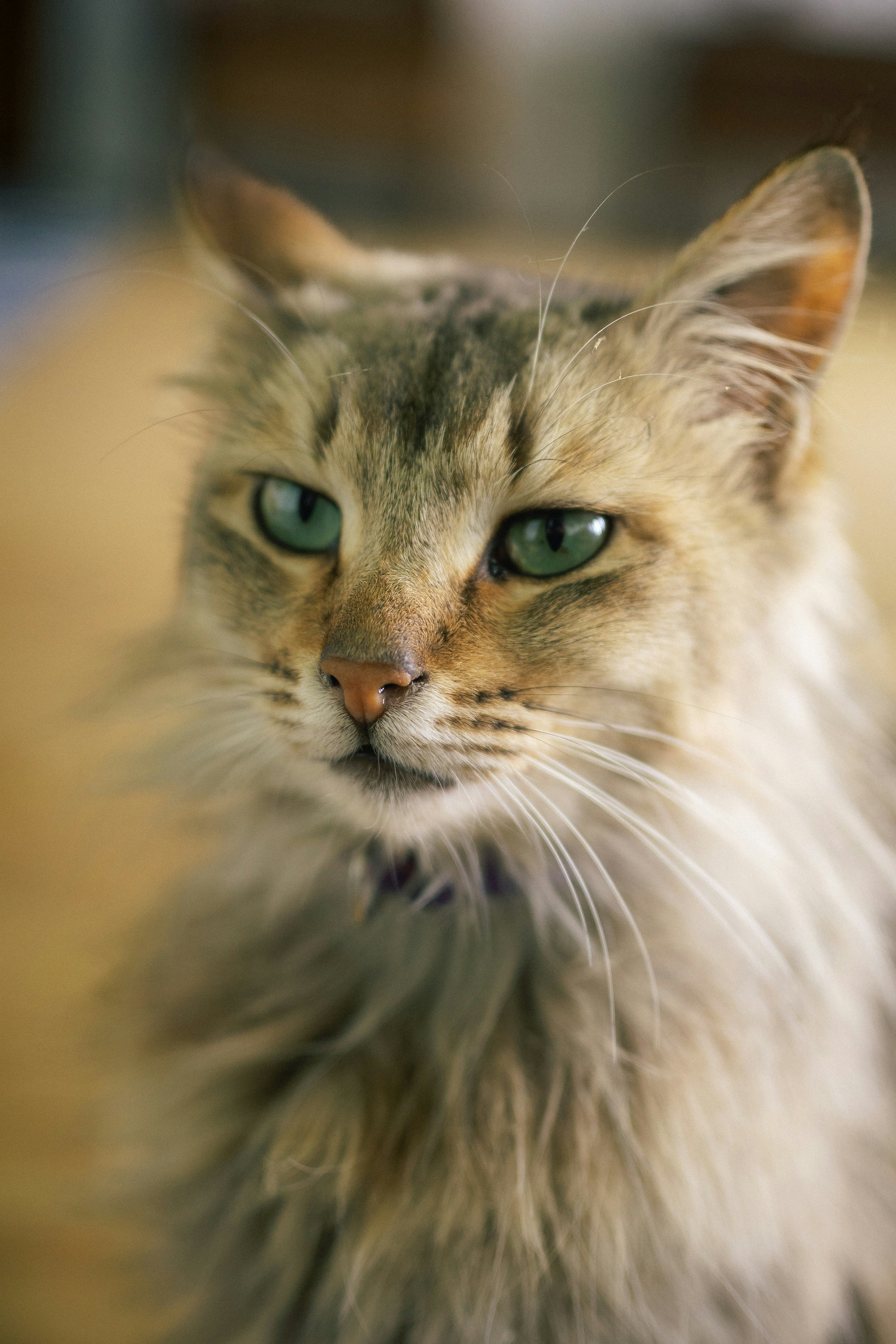 Photo by harshacrossindia