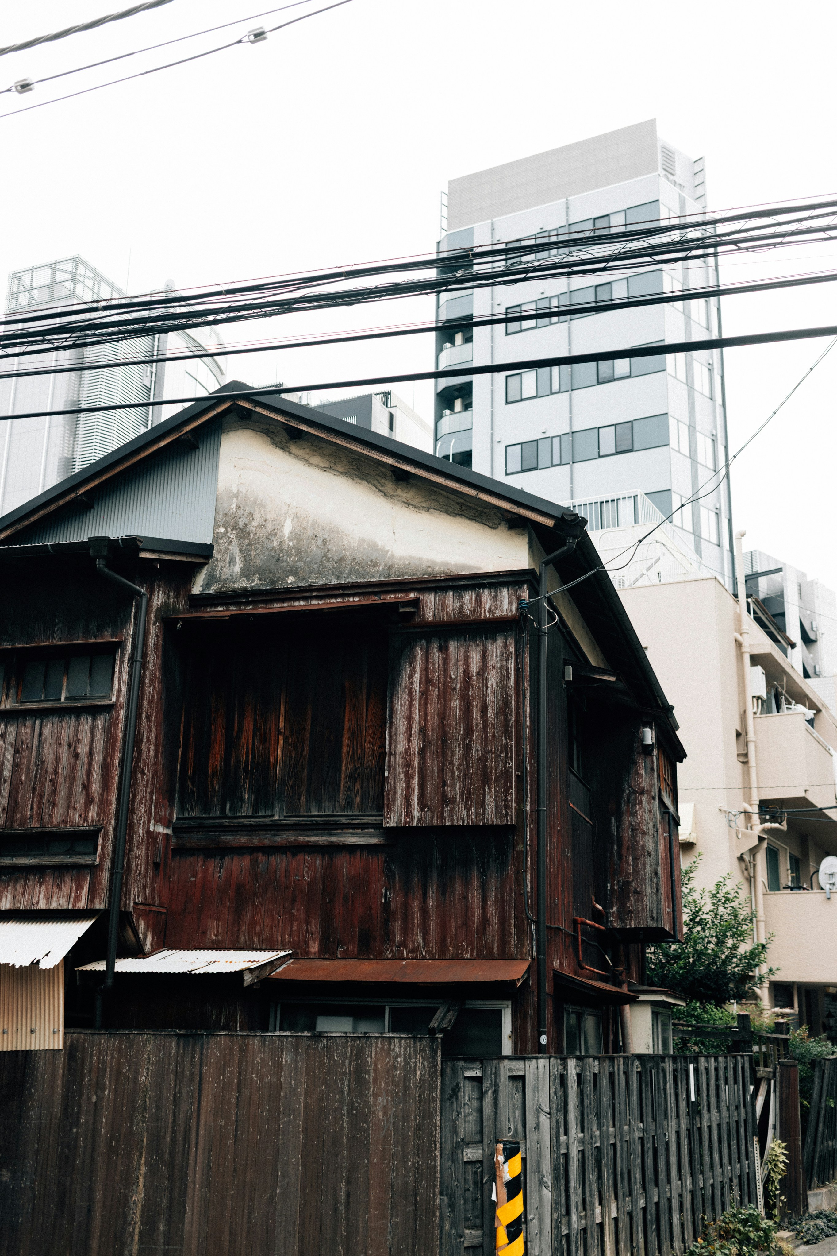 Photo by tsuyoshikozu