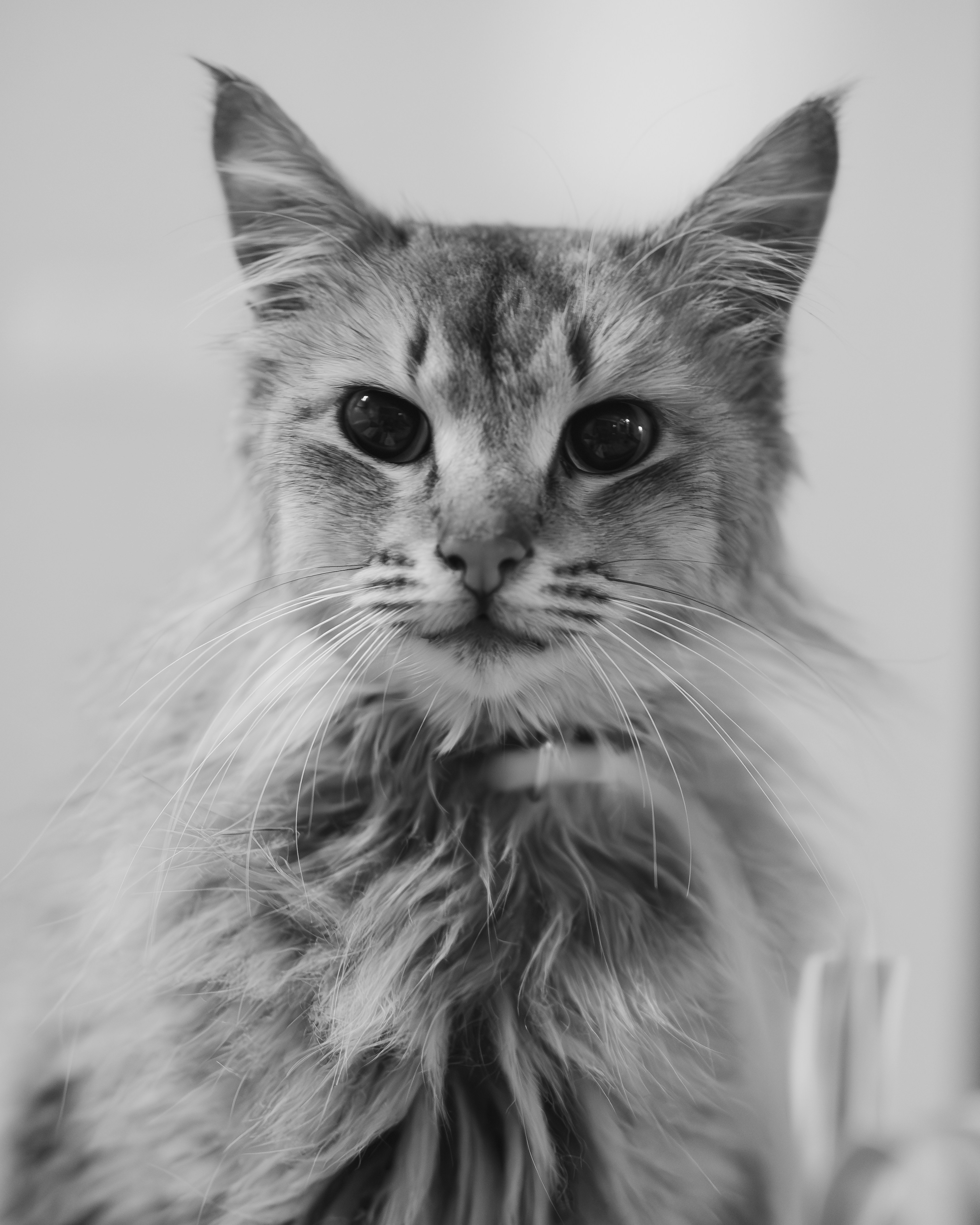 Photo by harshacrossindia