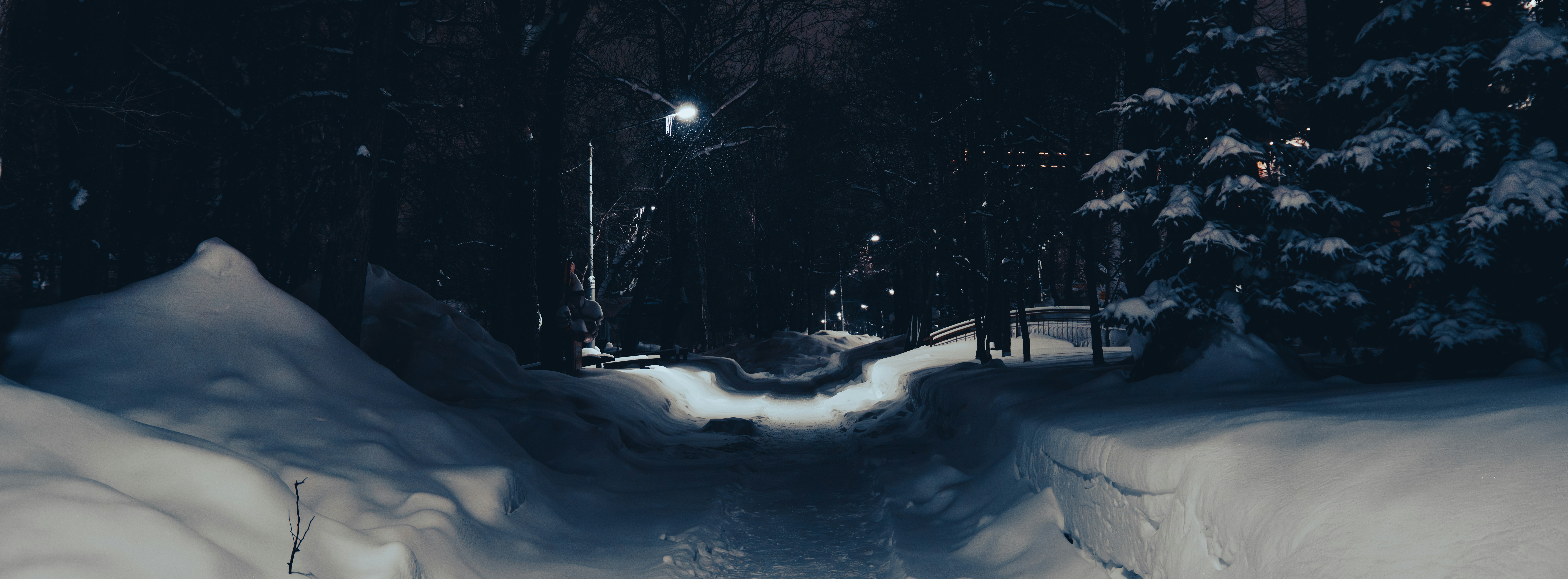 Snowy path through a dark forest at night