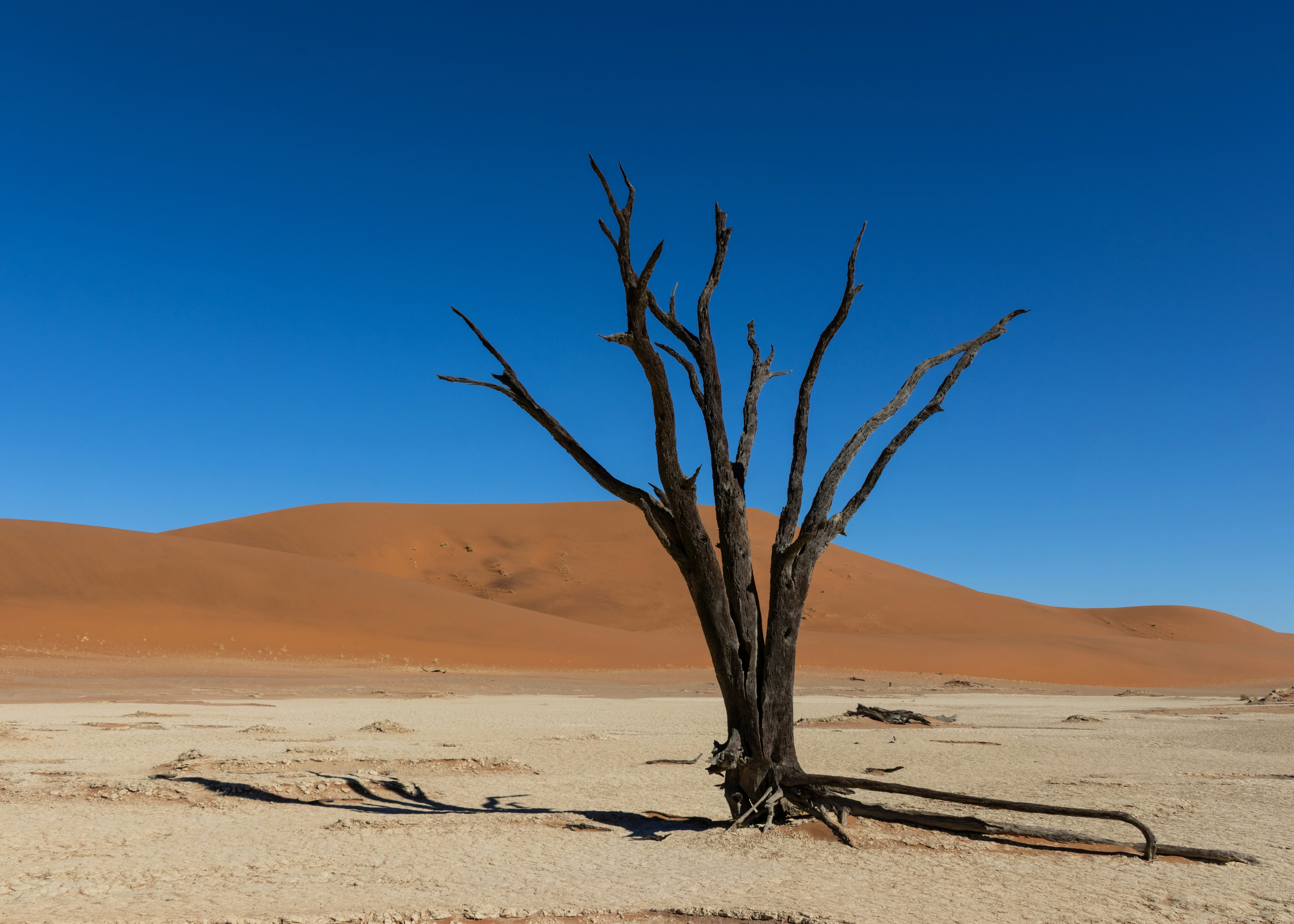 Photo by kevinhessey