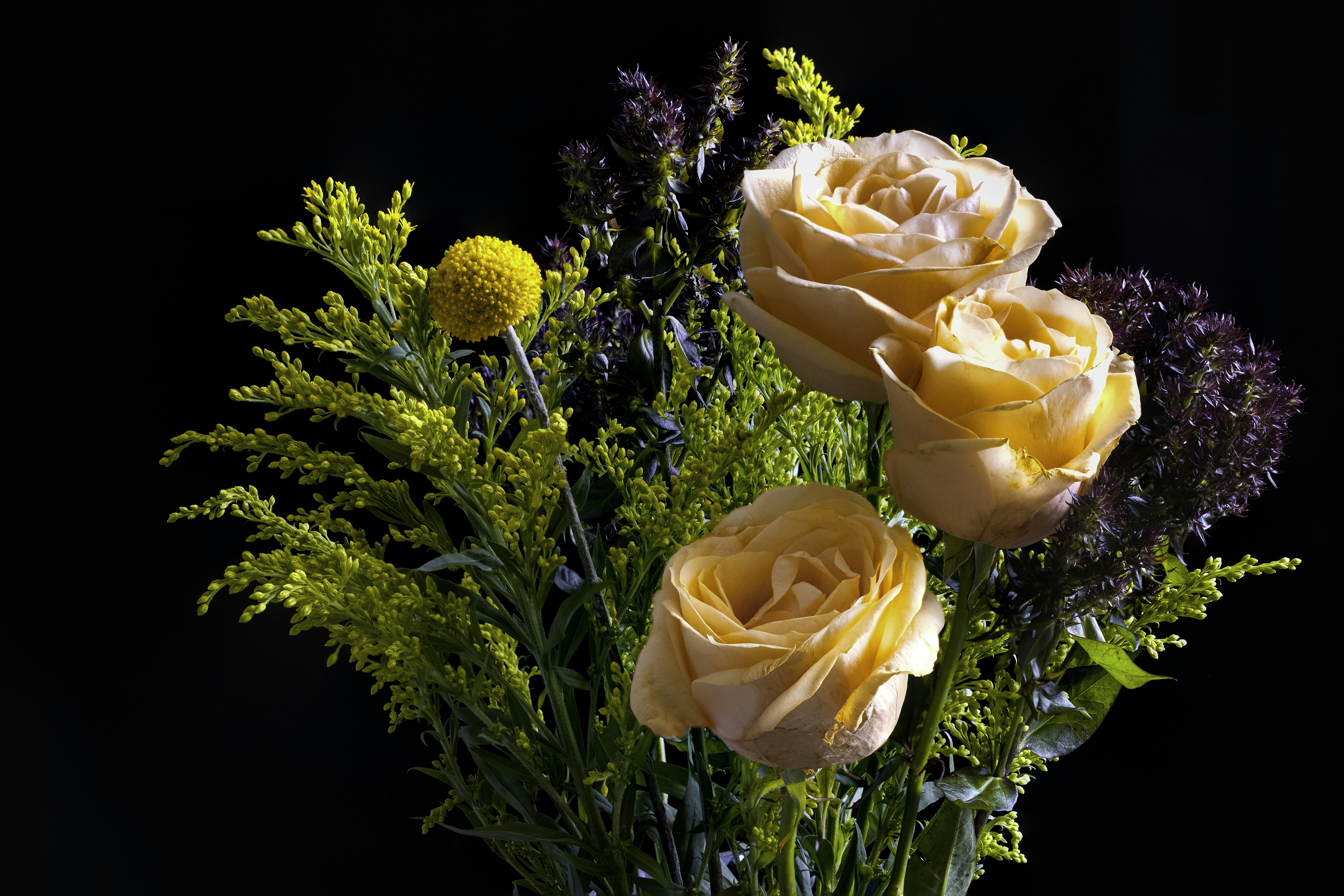 Photo by philrobson100