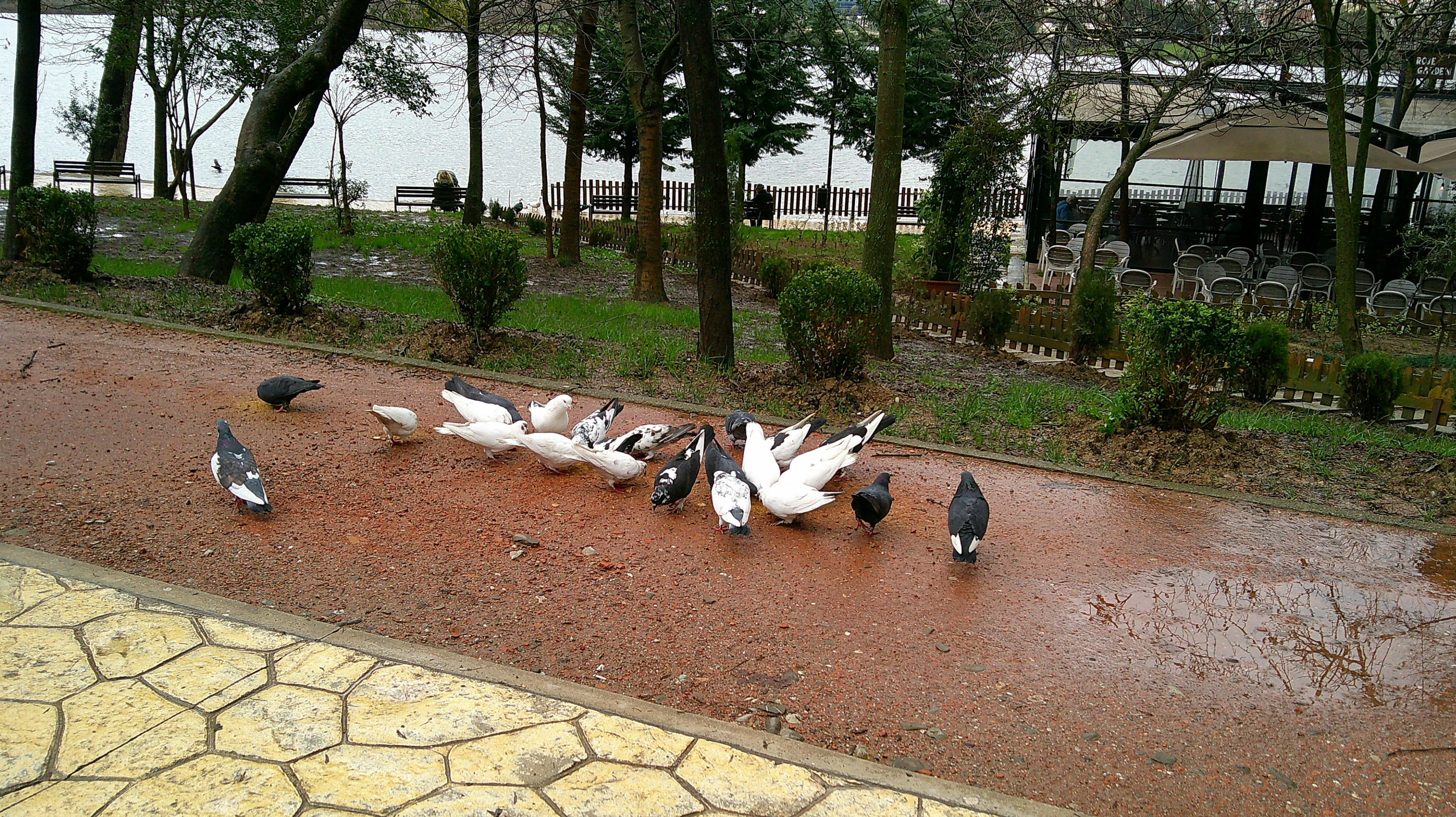 Birdland Park
