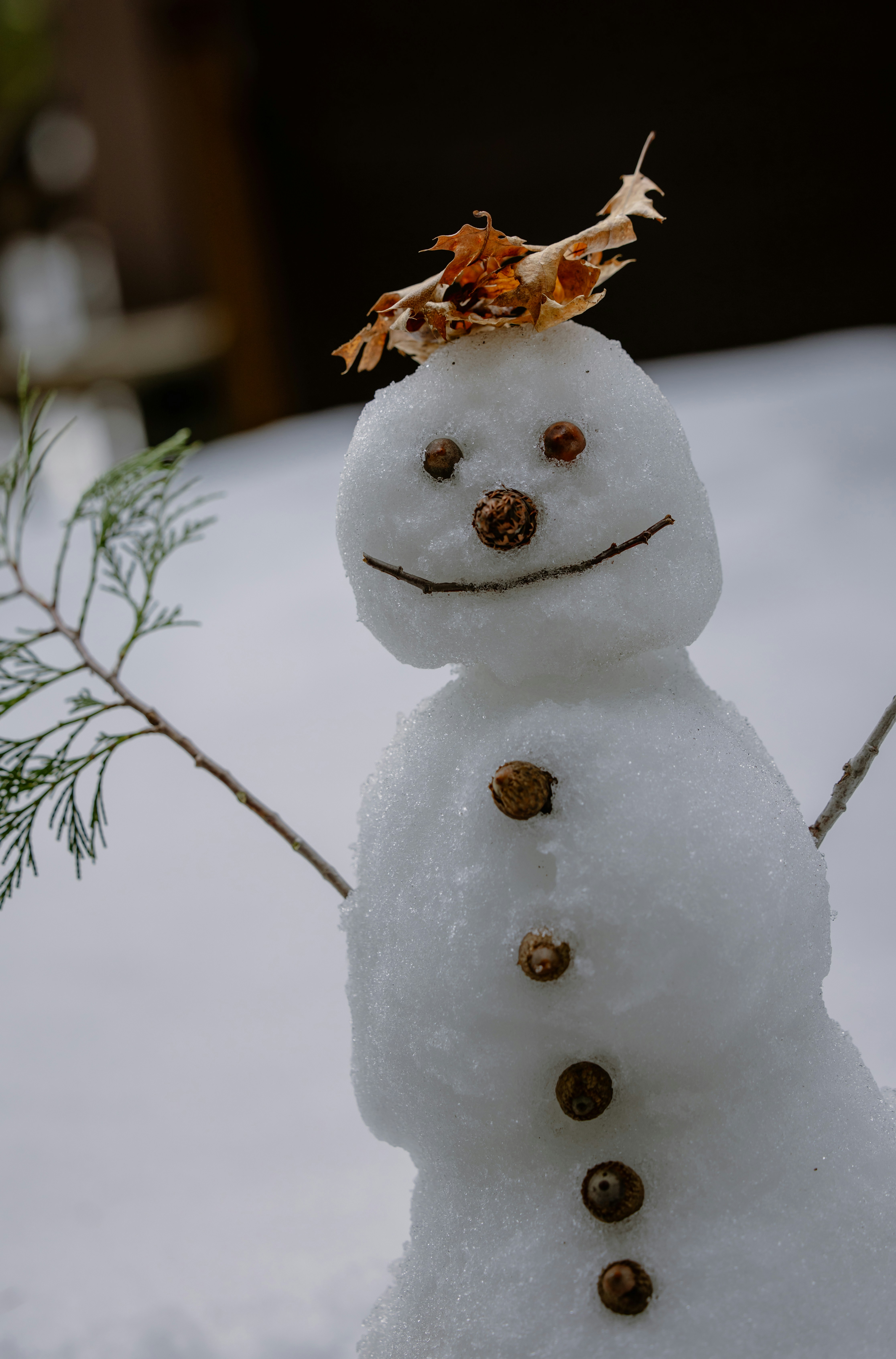 Photo by casunshine0508