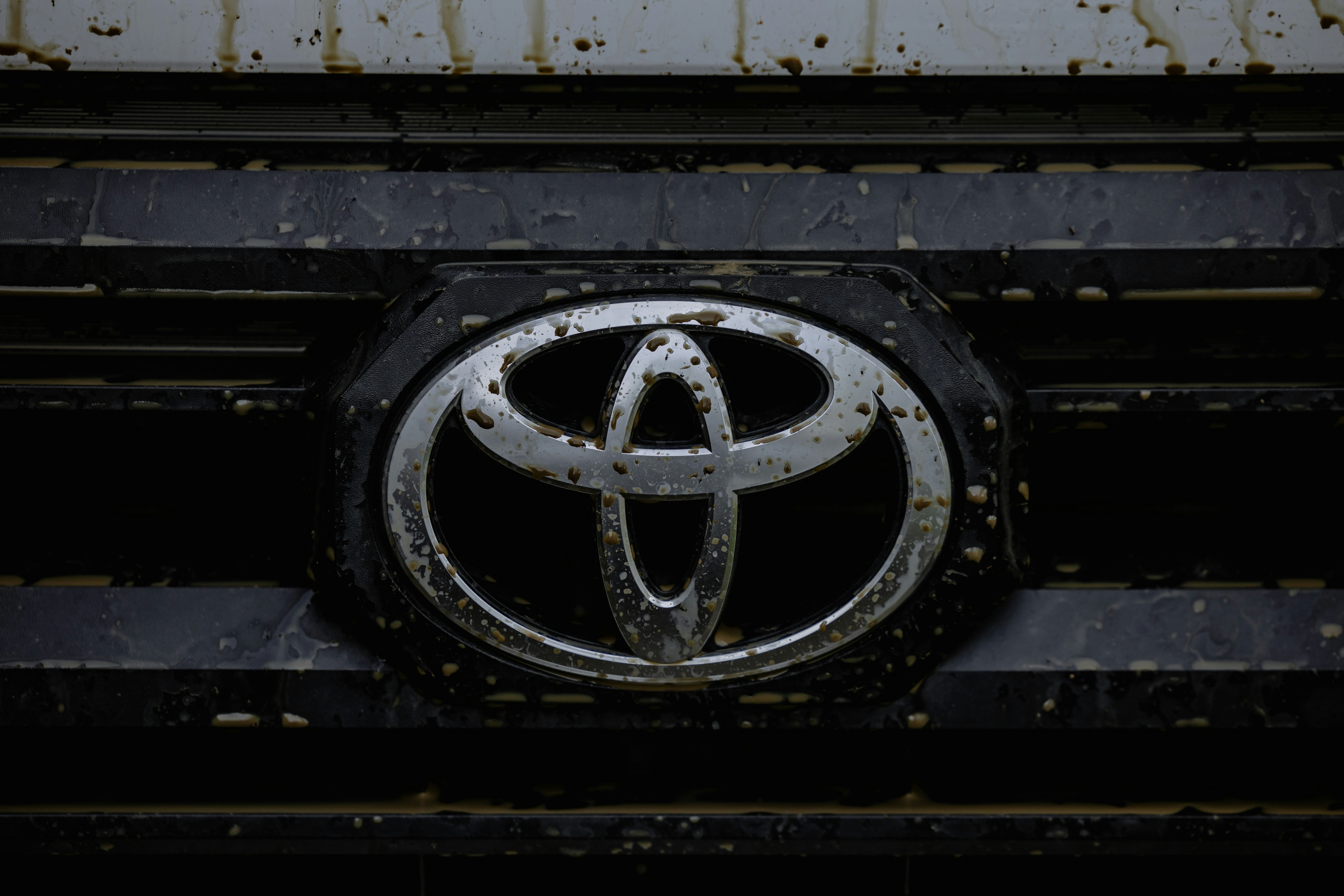 Heartfelt 2021 Toyota RAV4 Wishes & Captions to Share