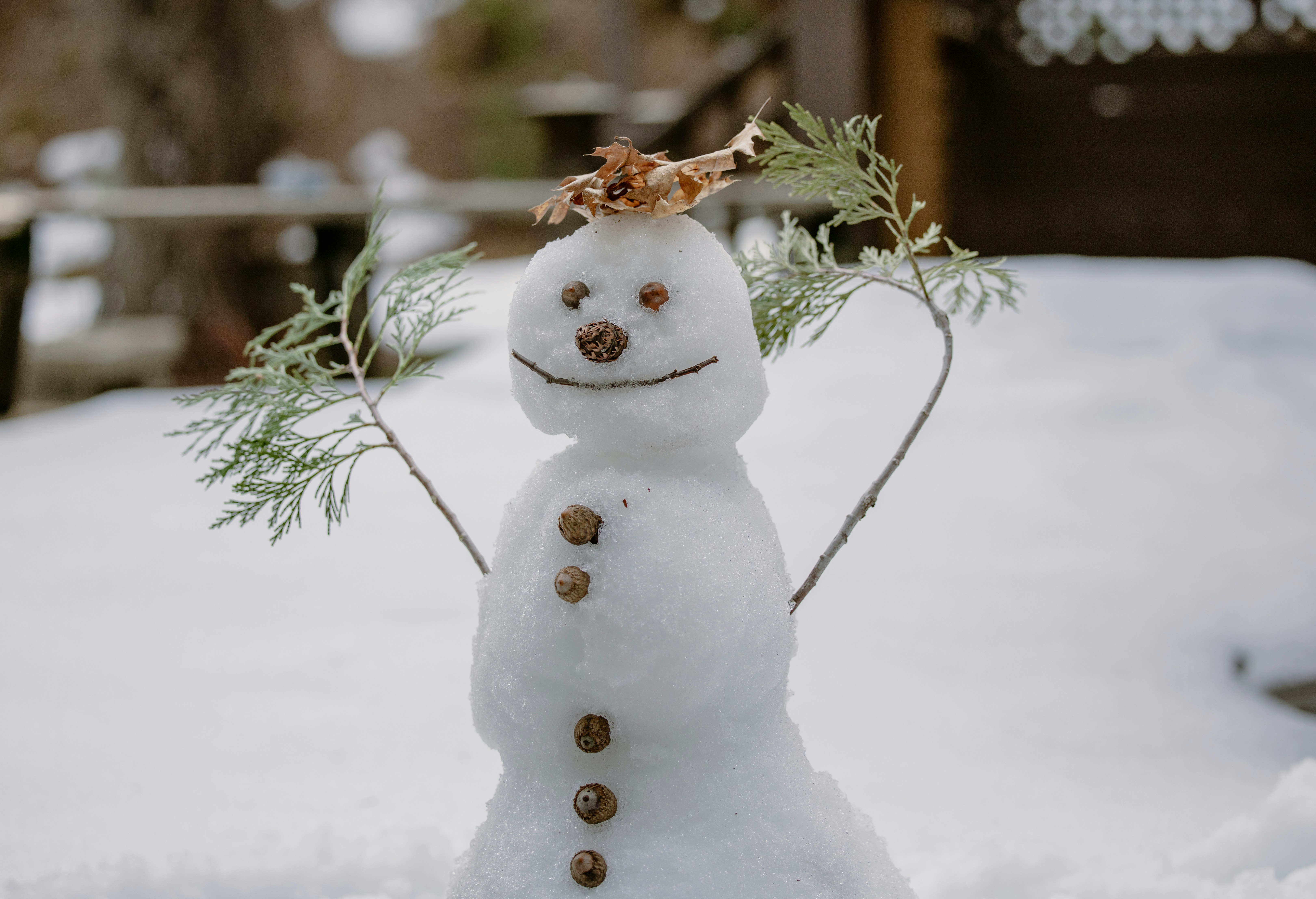 Photo by casunshine0508