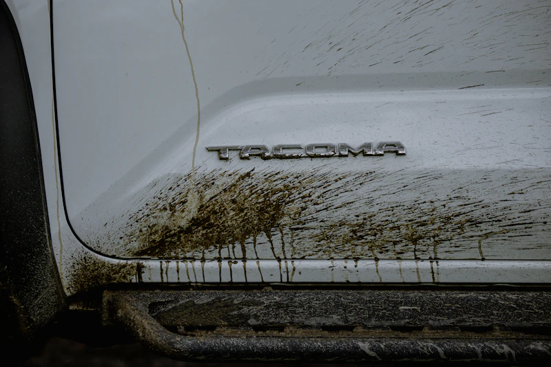 Heavily soiled truck exterior with mud splattered across the door panel before detailing
