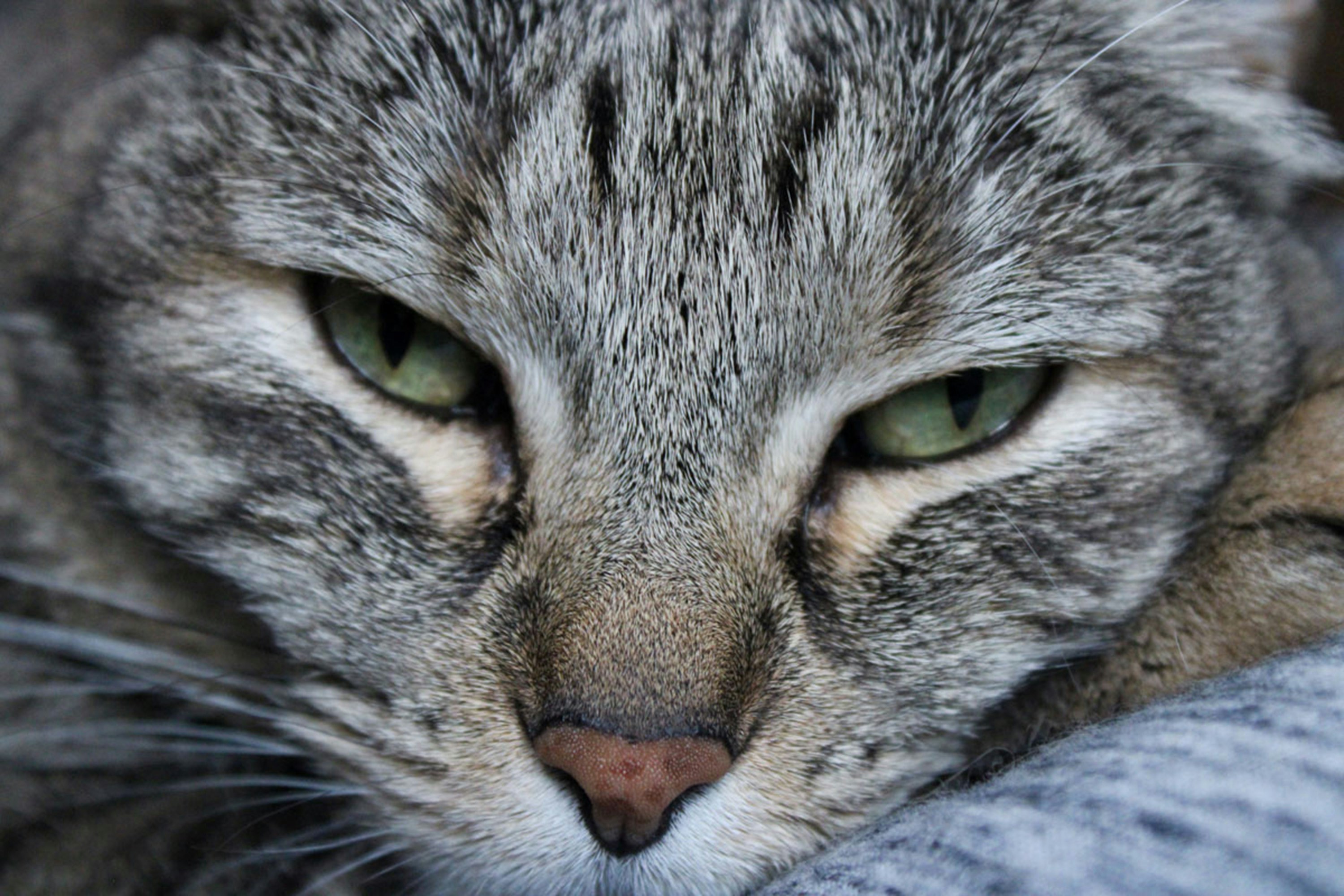 Photo by raevolution