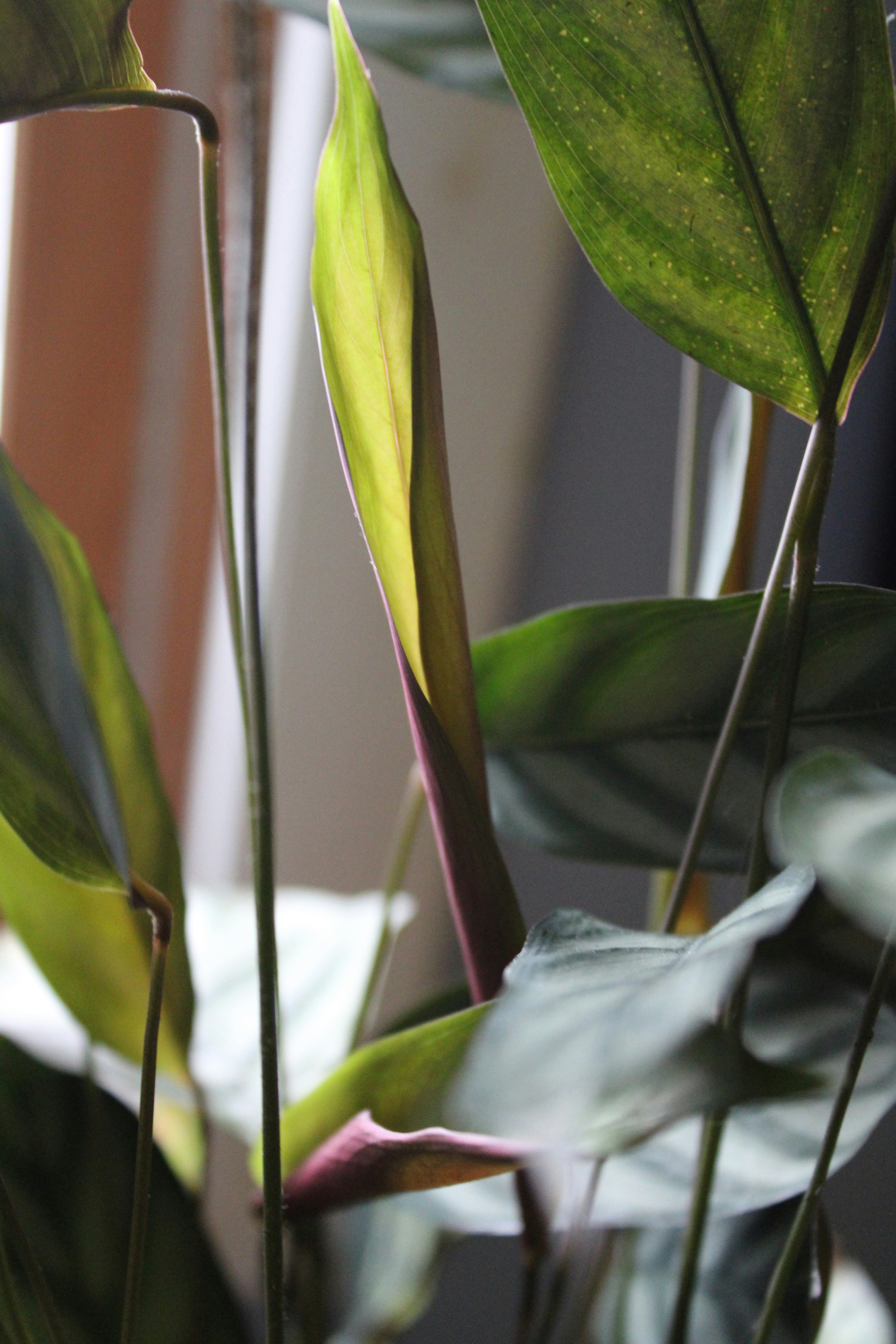 Photo by raevolution