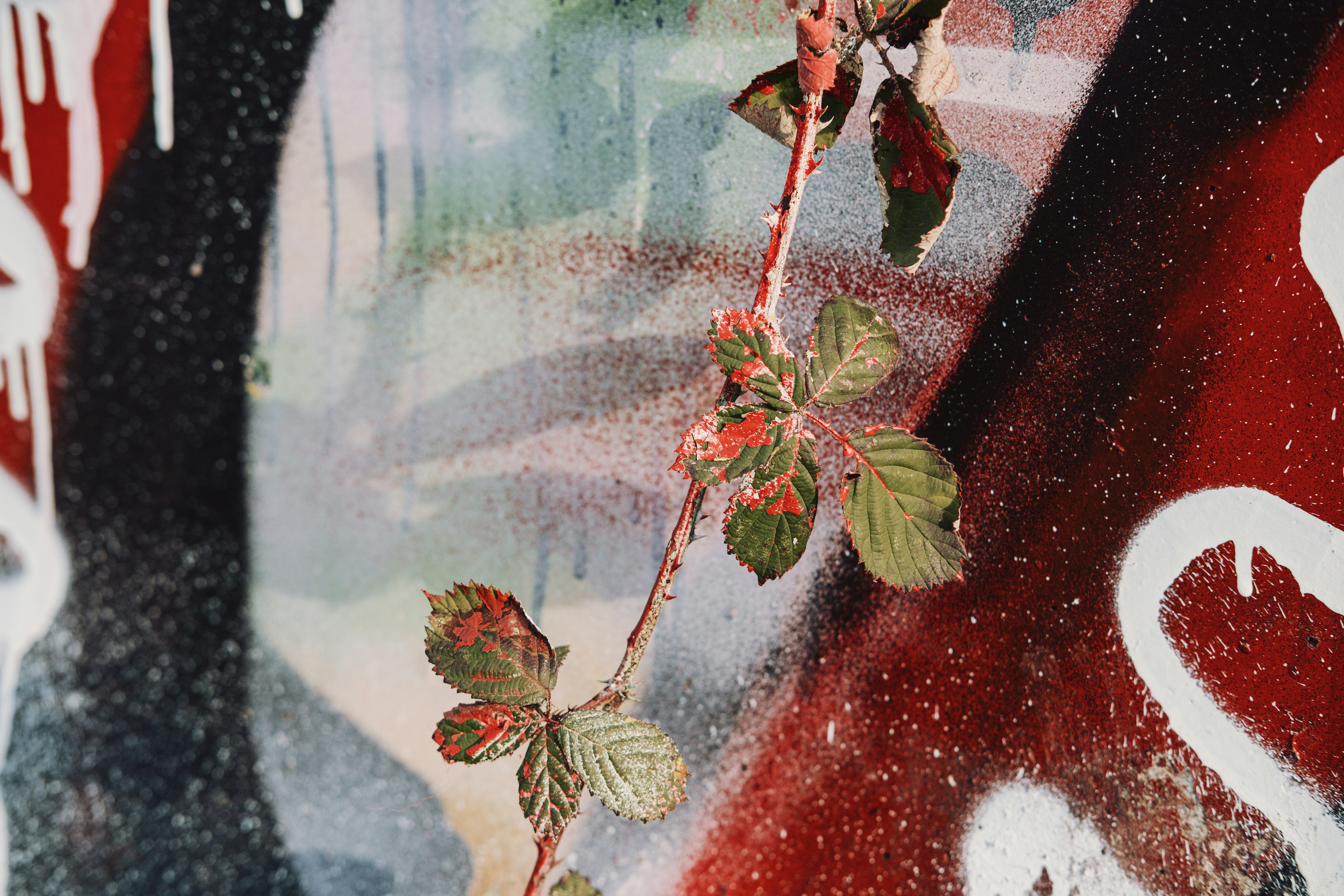 Coloring for Future Creators: Integrating STEM into Art Projects