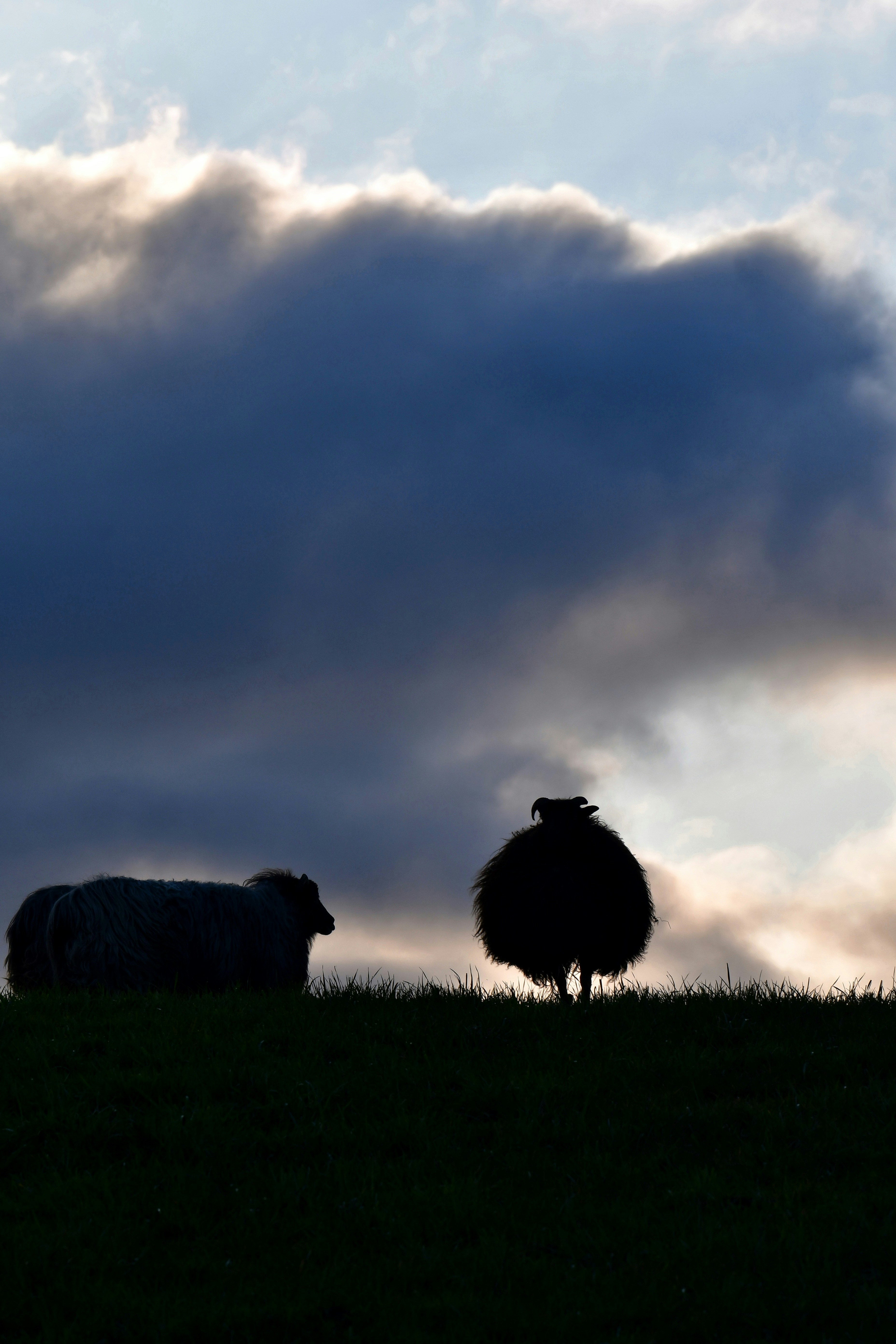 Photo by pedrino5_official