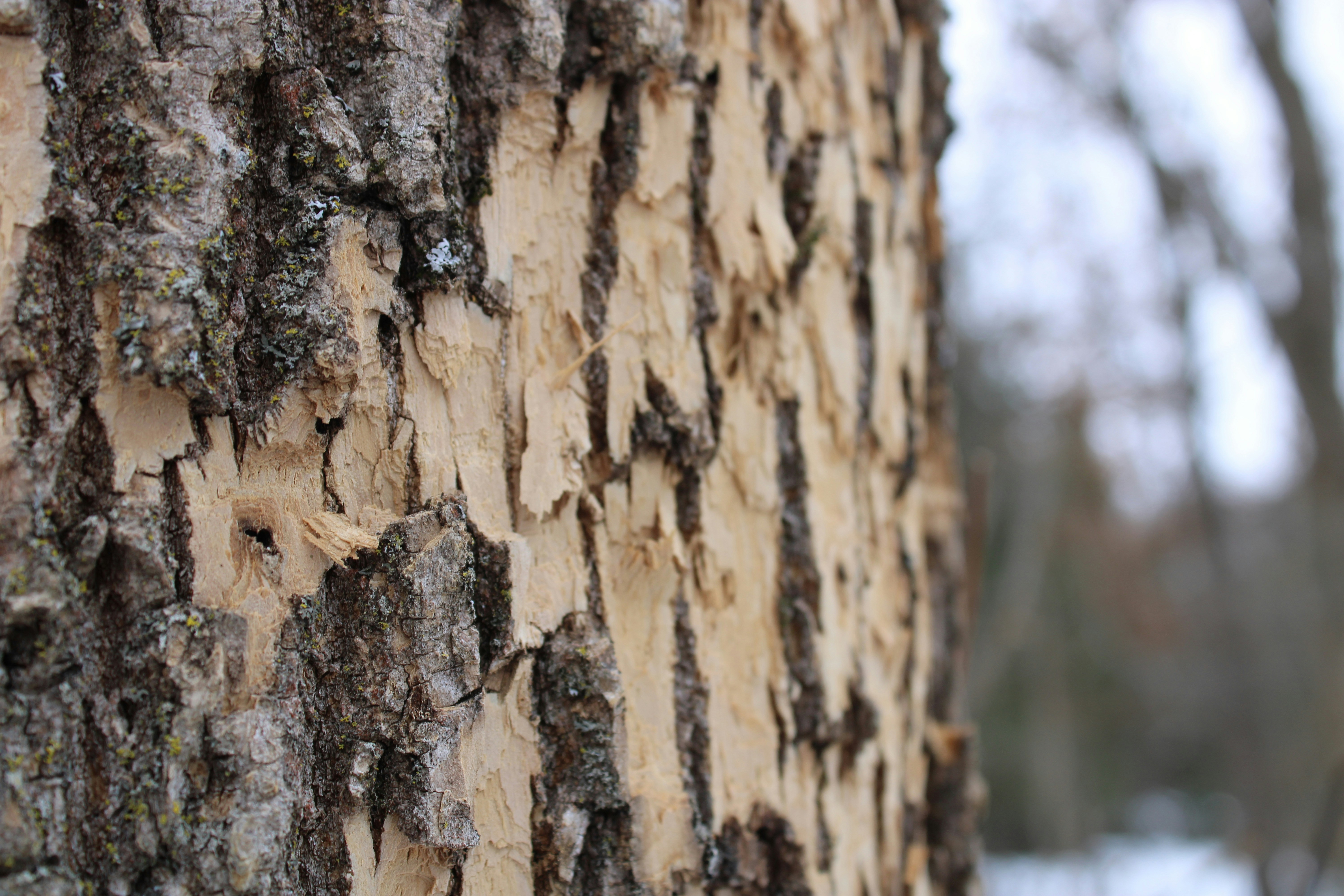 Photo by raevolution