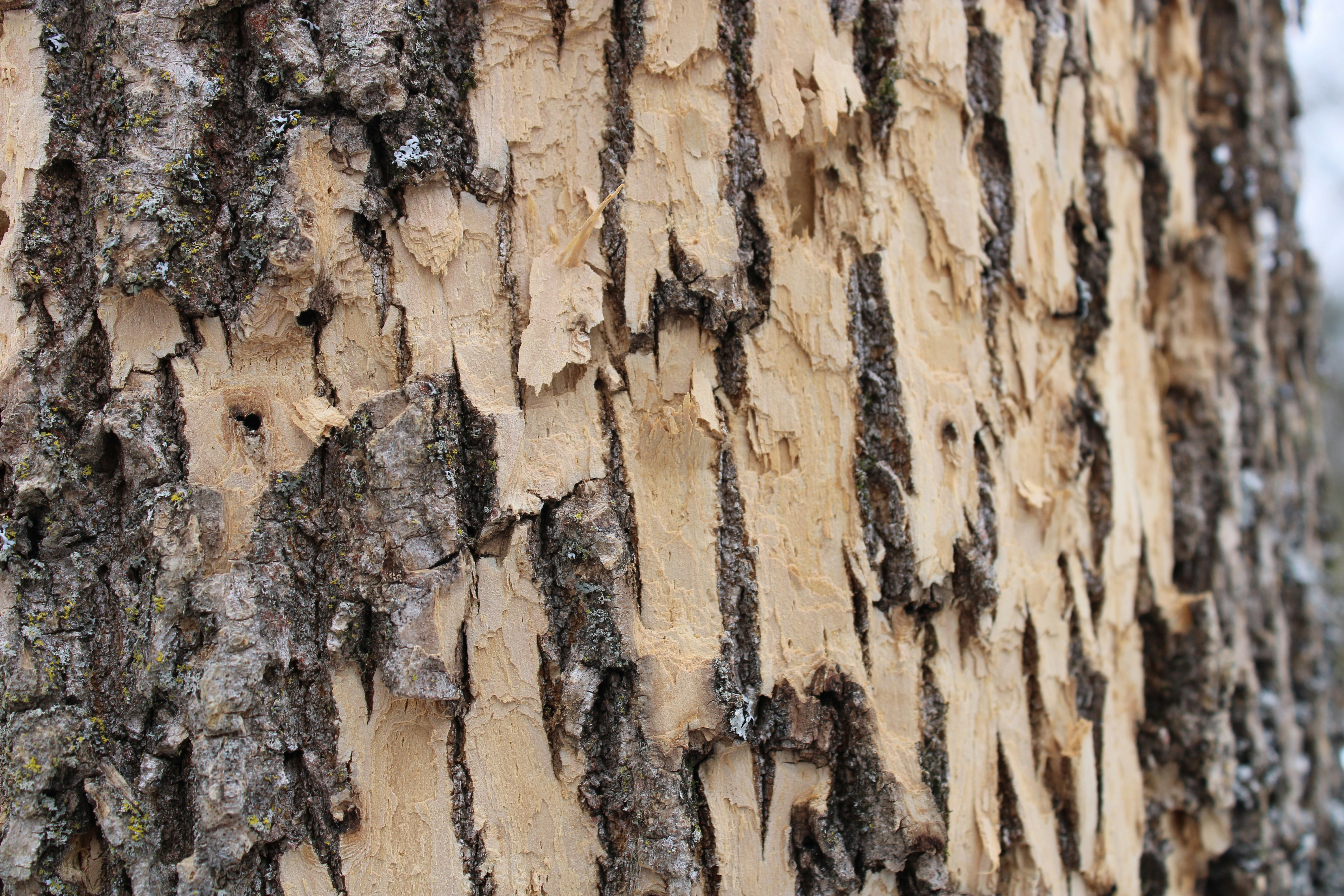 Photo by raevolution