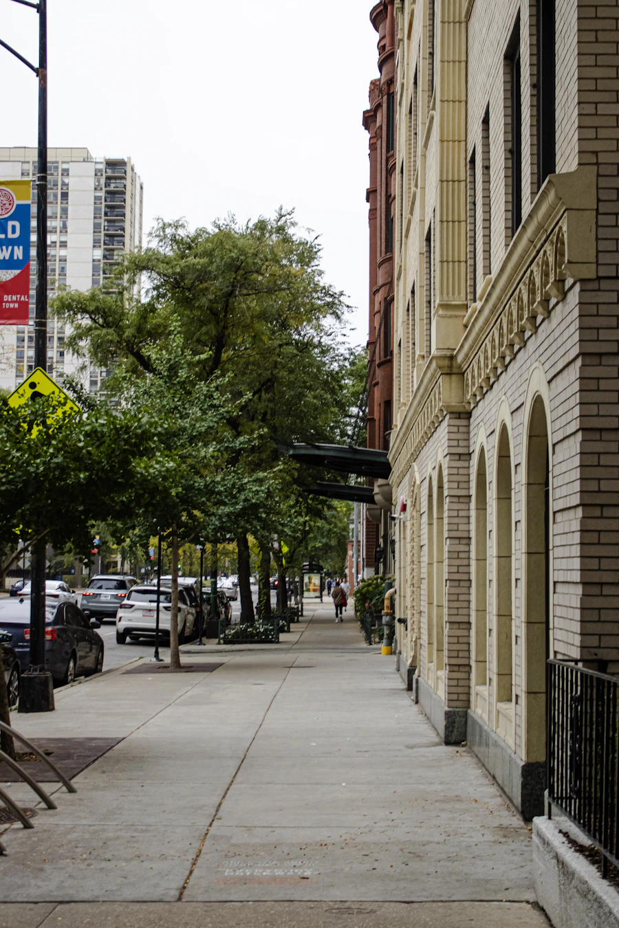 Tree-lined Chicago residential sidewalk with parked cars and brick homes
