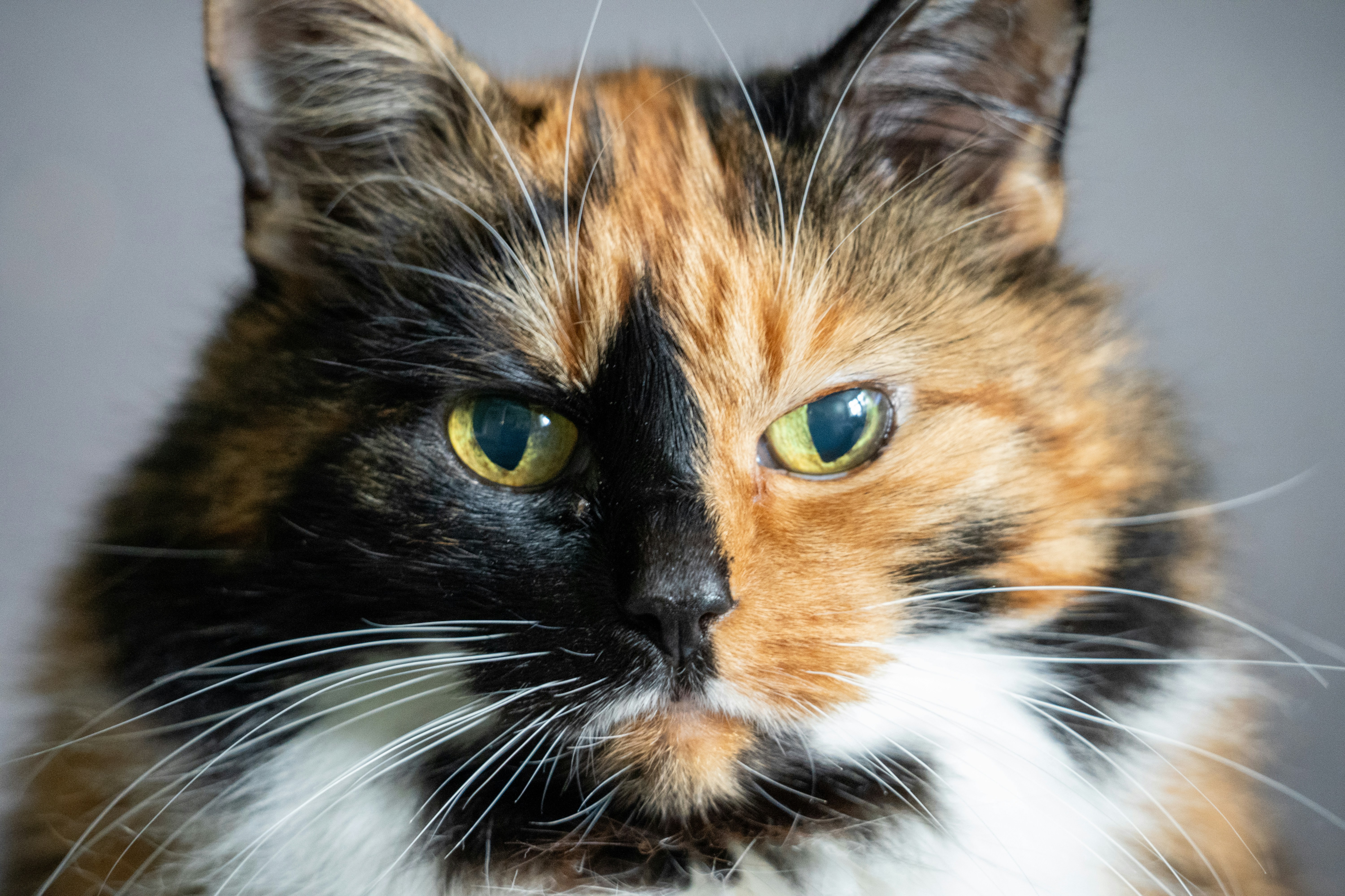 Photo by niall_smith