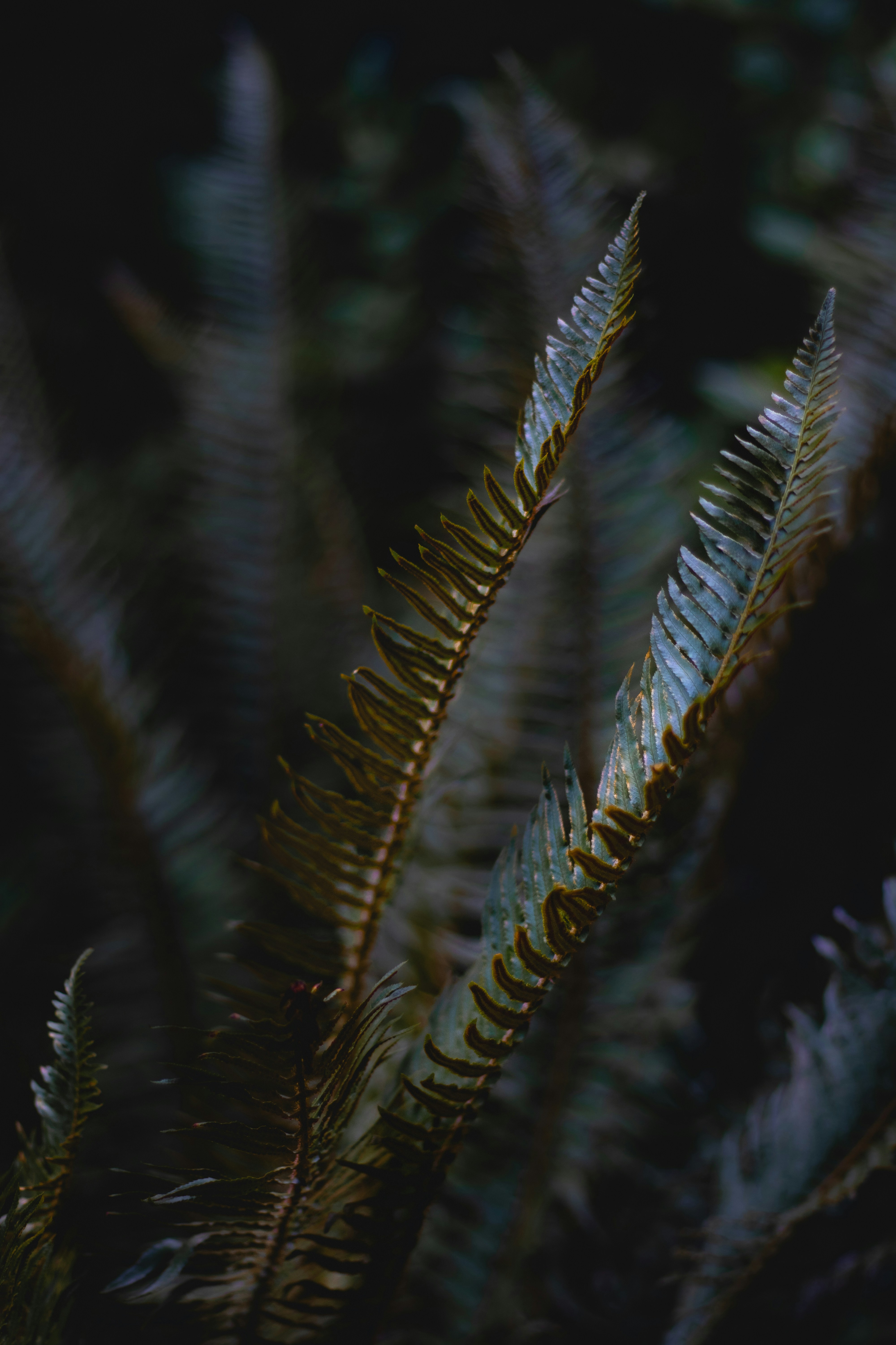 Photo by pendulumphotographs