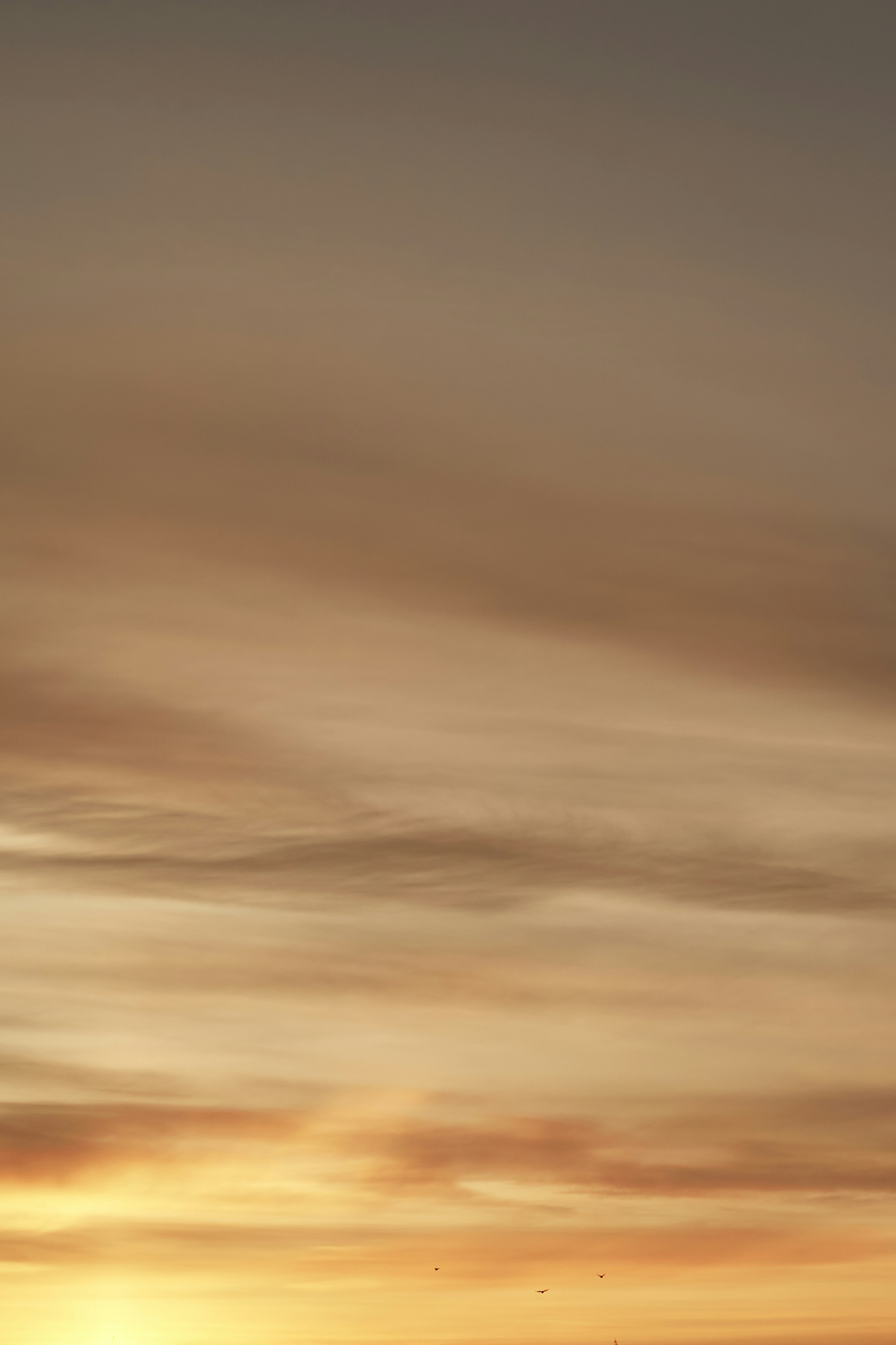 Photo by innercoldfield