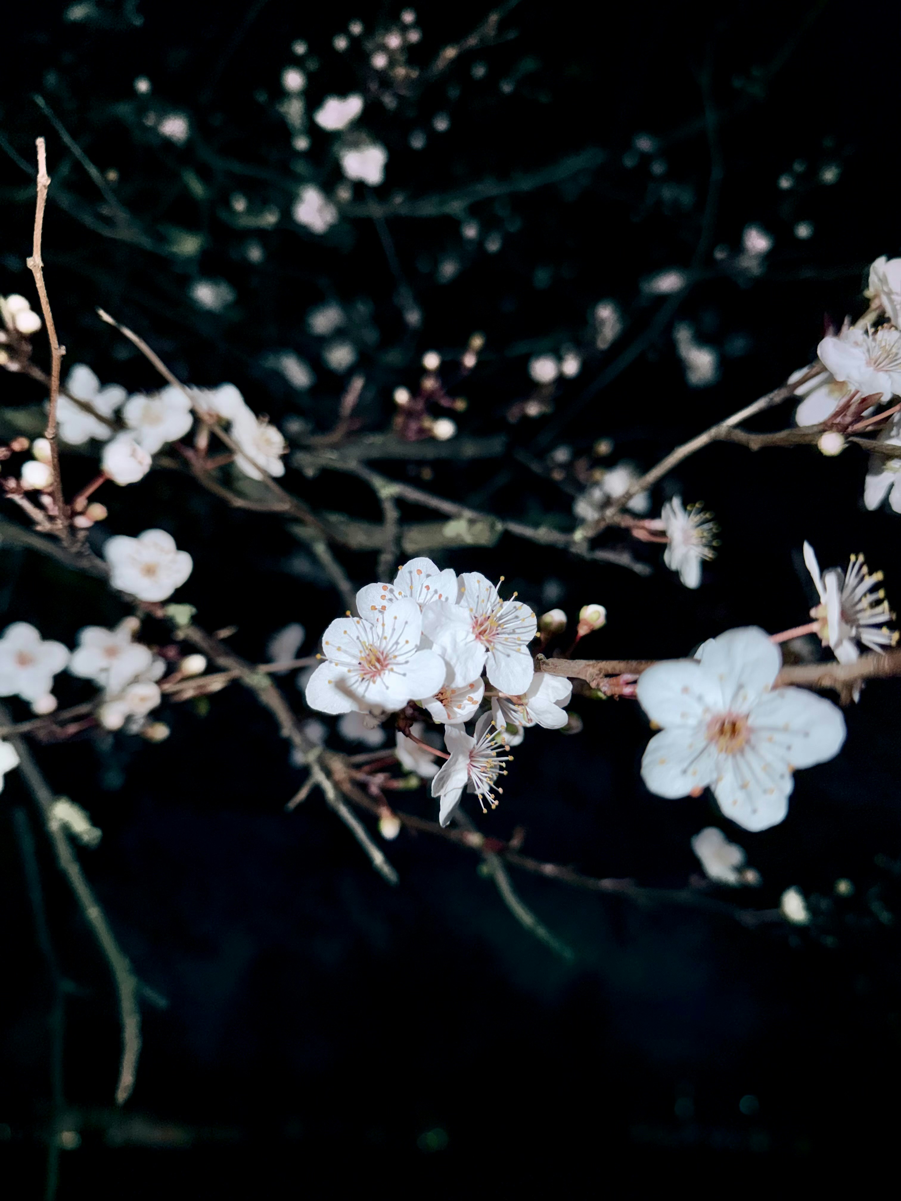 Photo by raymatthewx