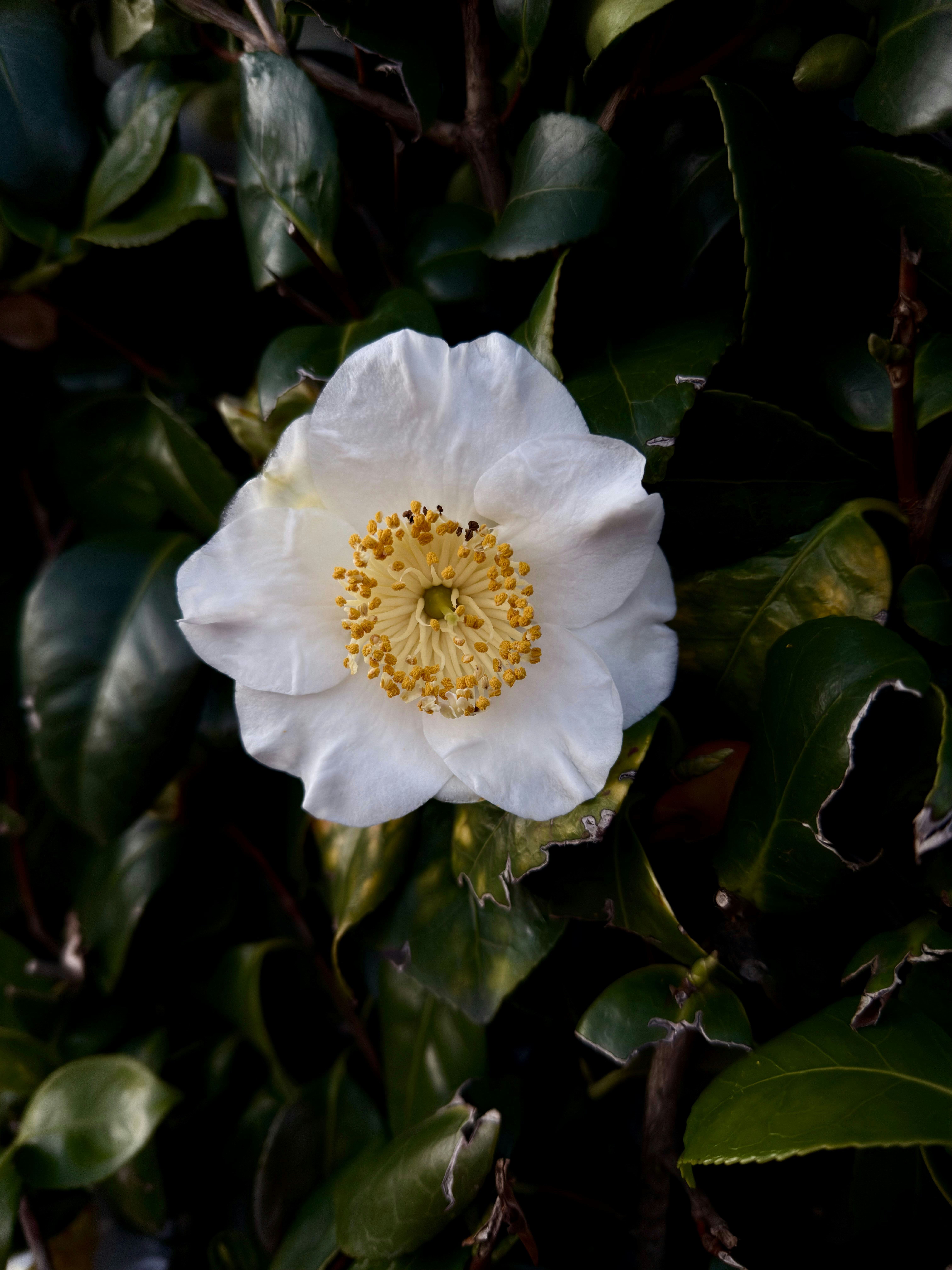 Photo by raymatthewx