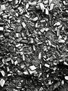 A close-up view of wood chips and dirt.