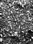 A close-up view of wood chips and dirt.