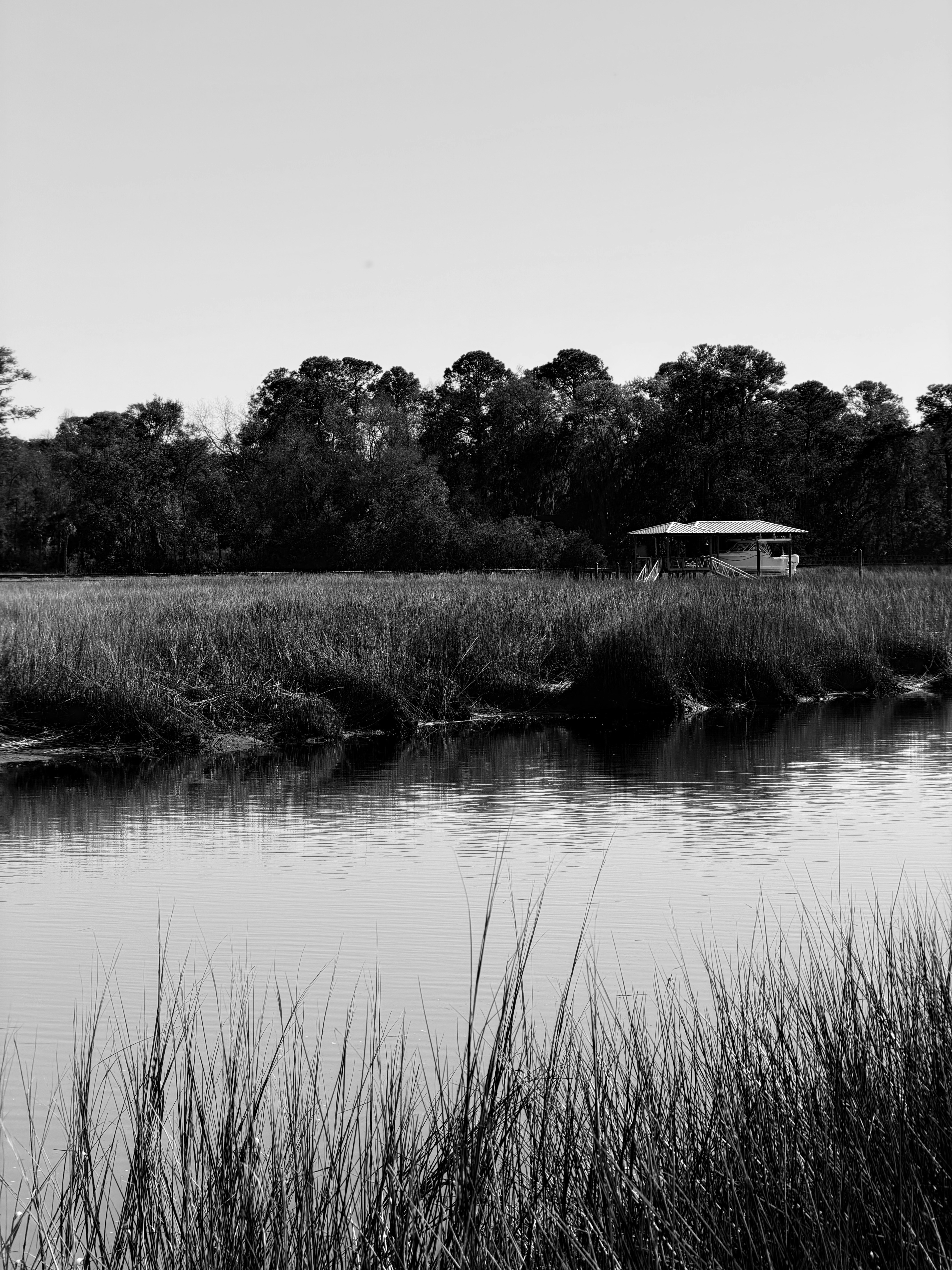 Photo by dmtthegreat