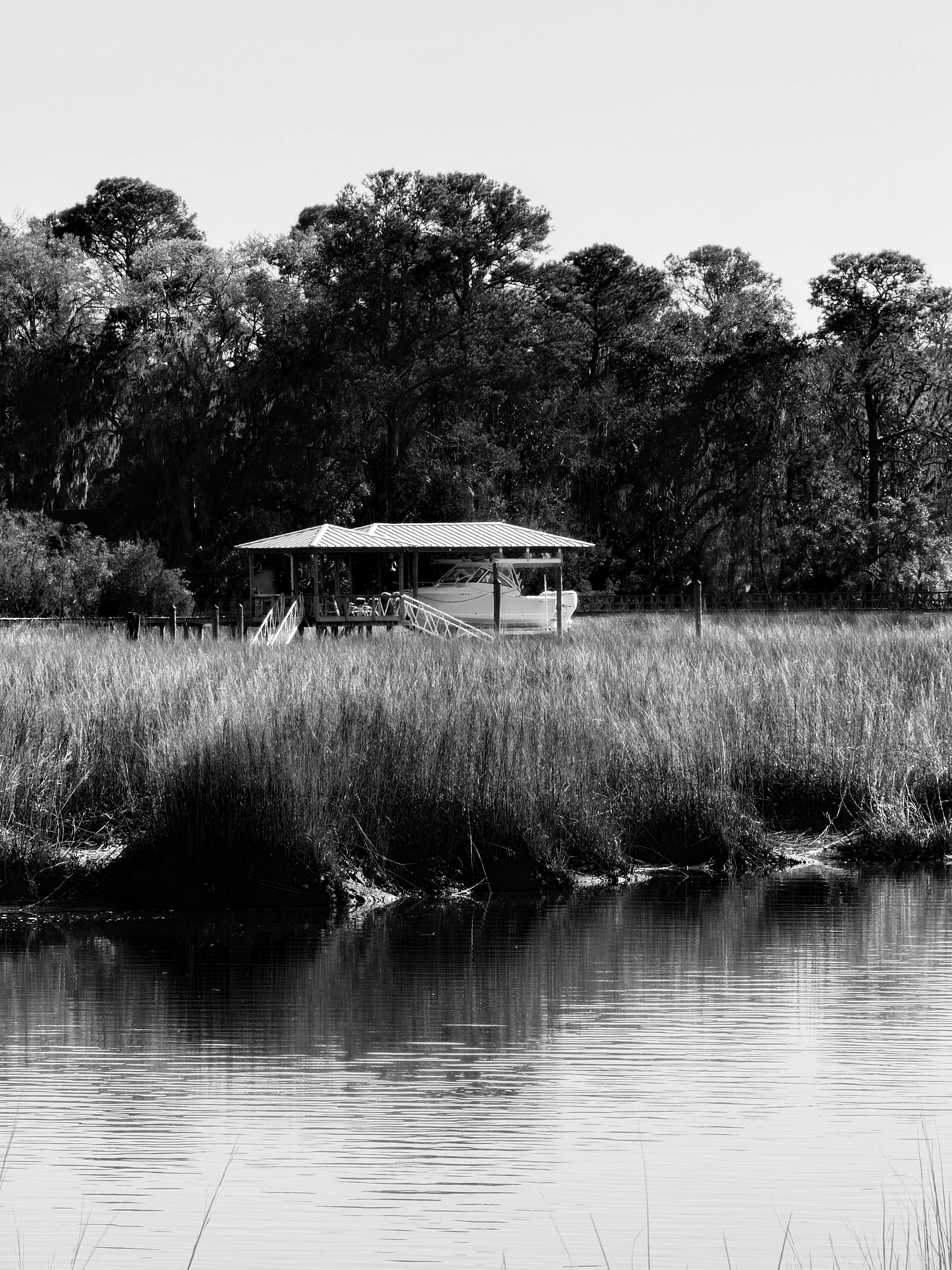 Photo by dmtthegreat