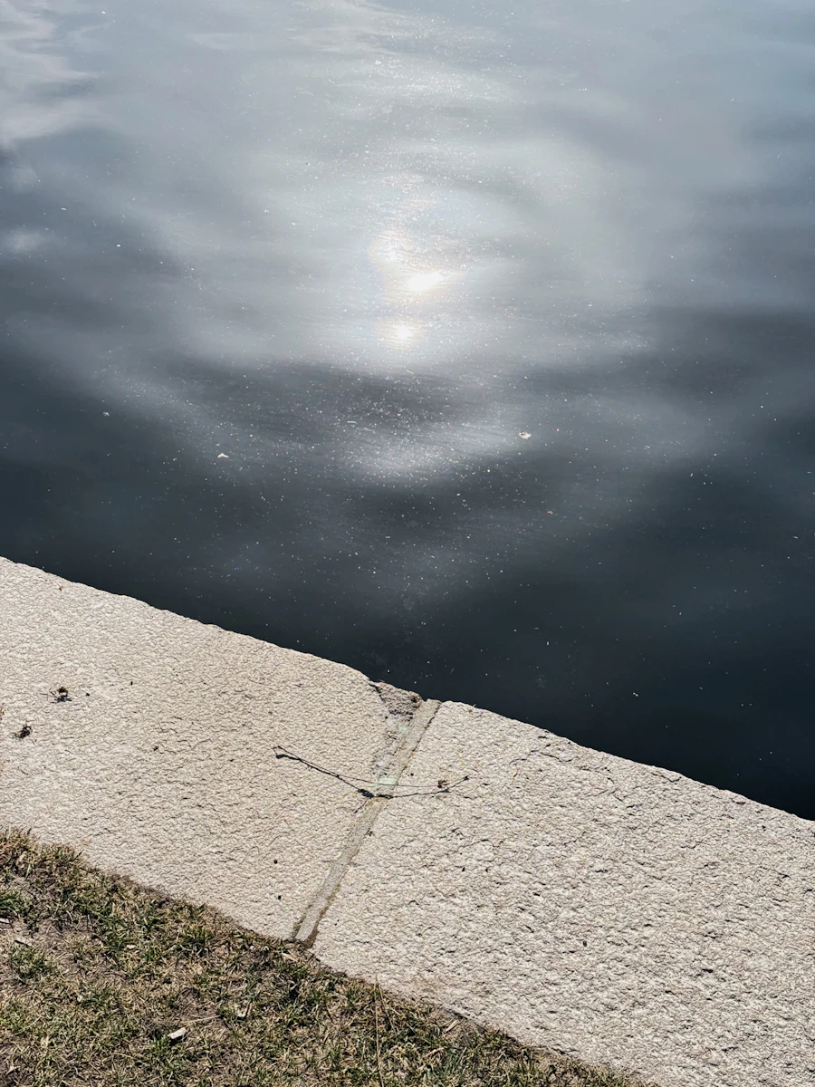 morning · light on water