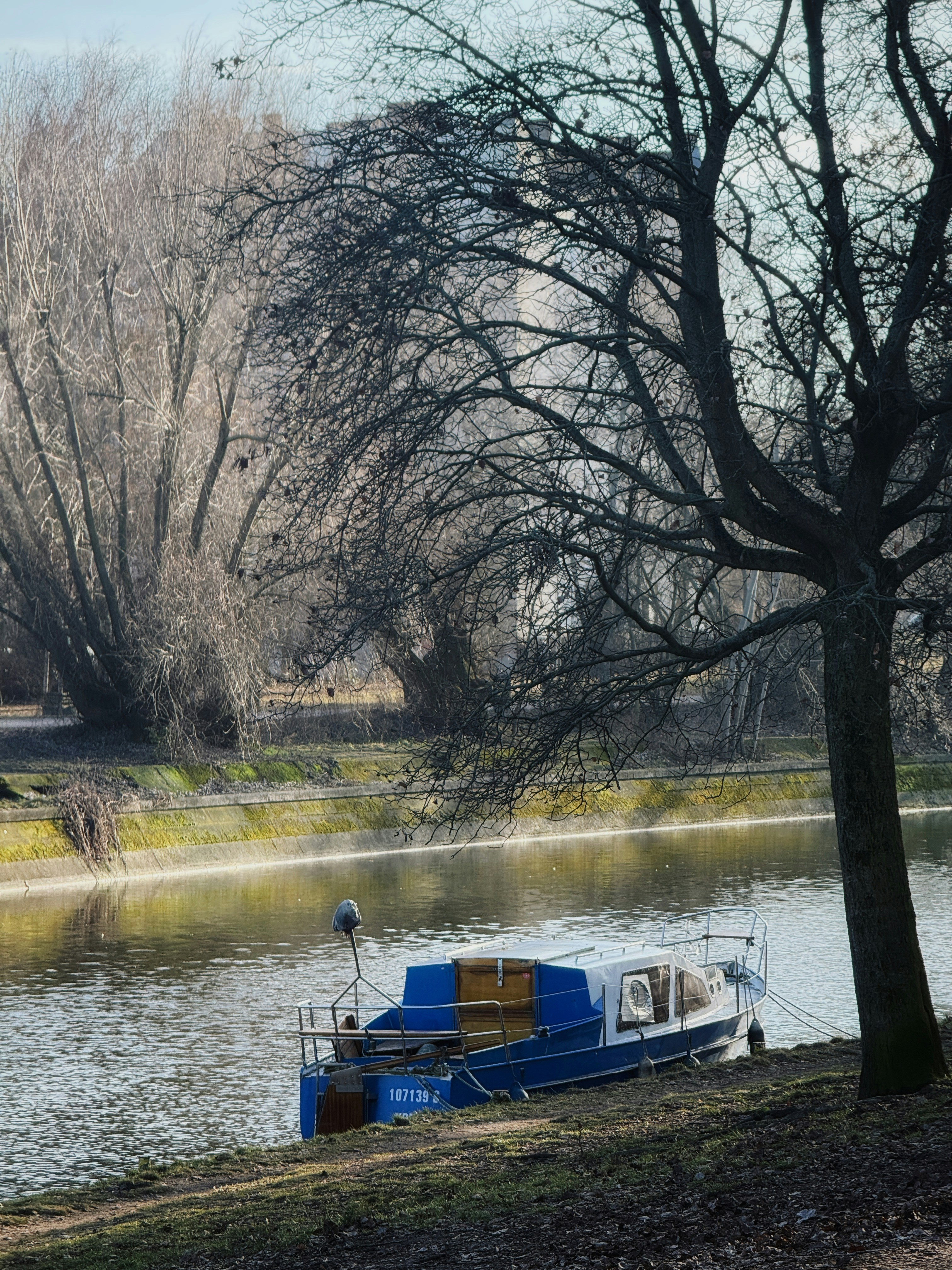 Barca blu e gialla attraccata su una riva alberata.