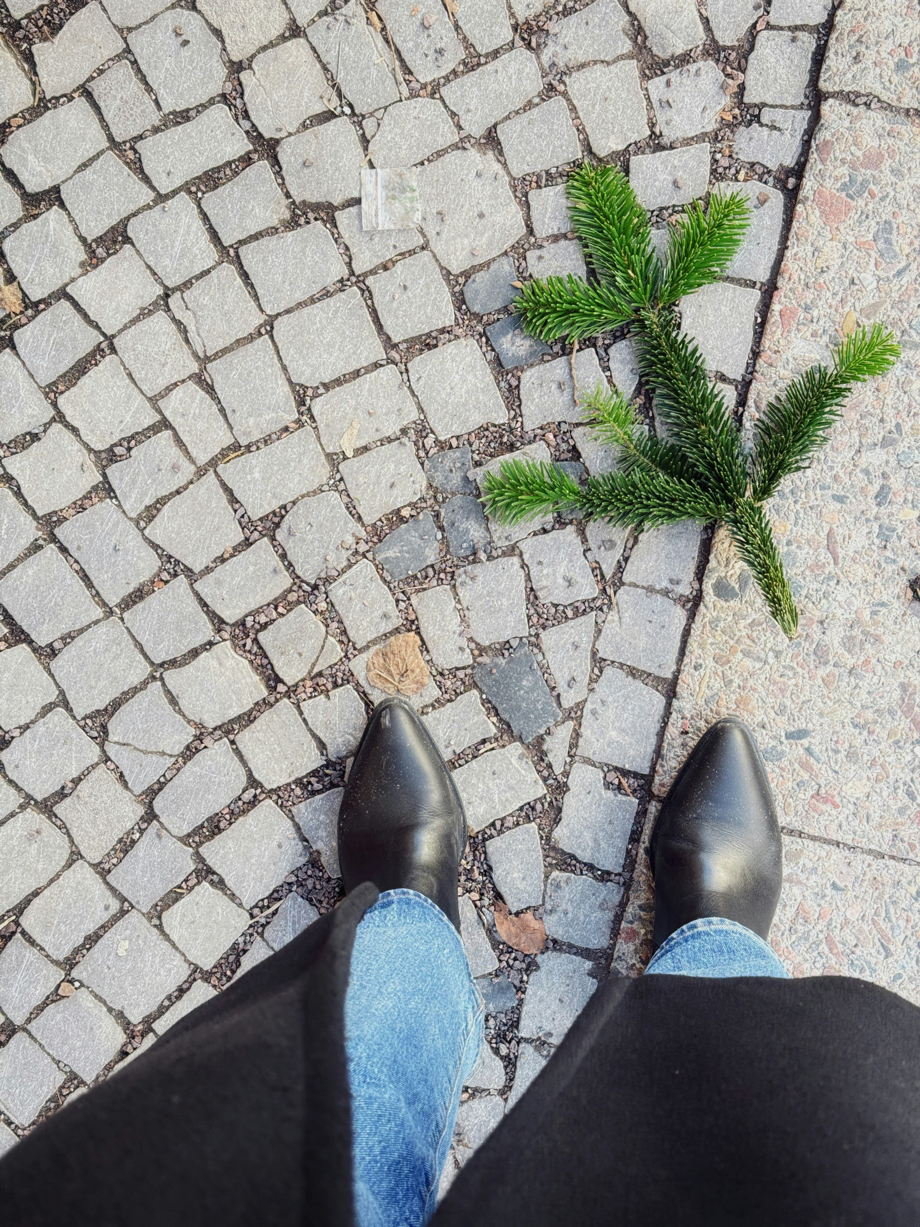 Stivali neri e jeans su ciottoli con rami di pino.