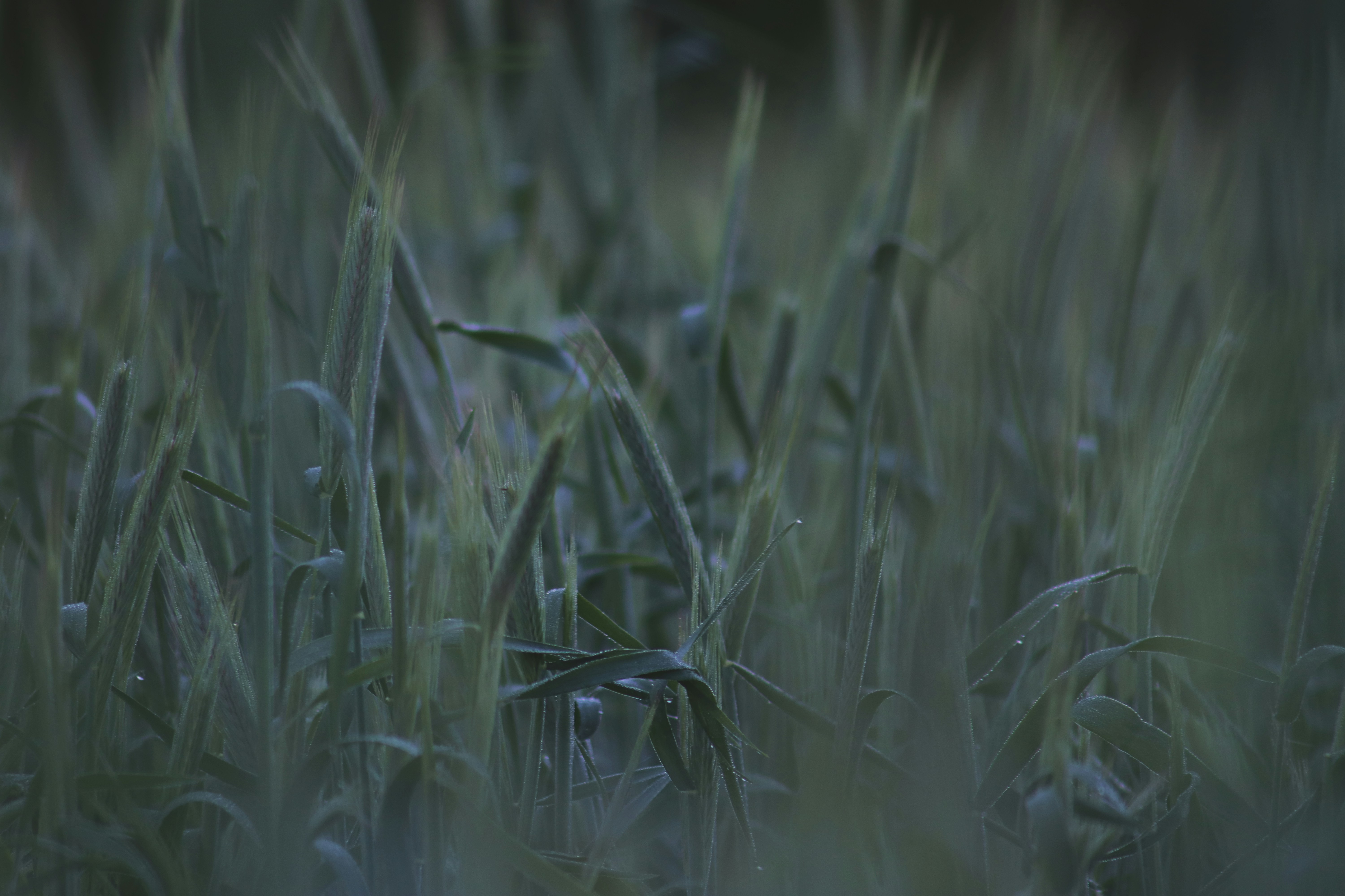 Photo by katalisator