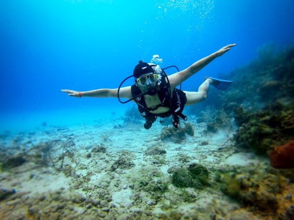 Aerial view of clear ocean
