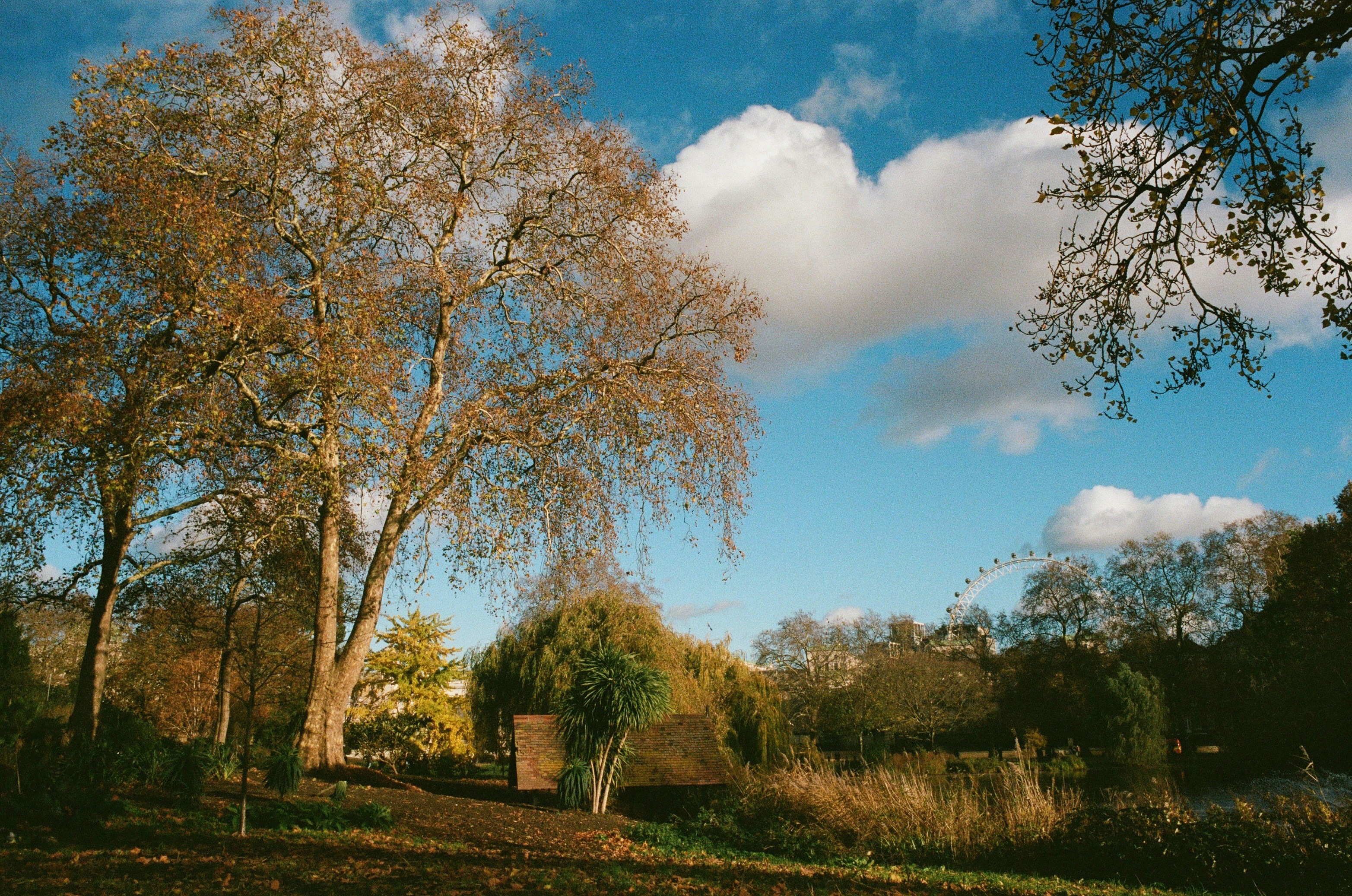 Photo by laurauraura